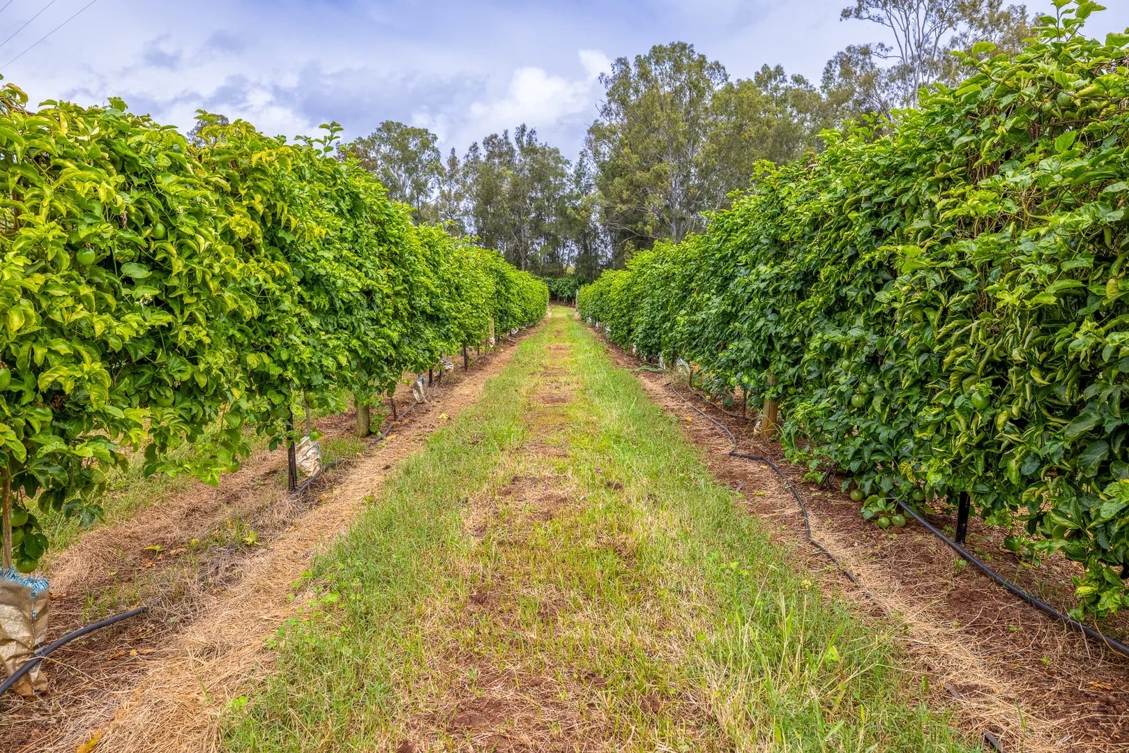 Additional image 41 of 86 Simpsons Road, Bullyard QLD 4671