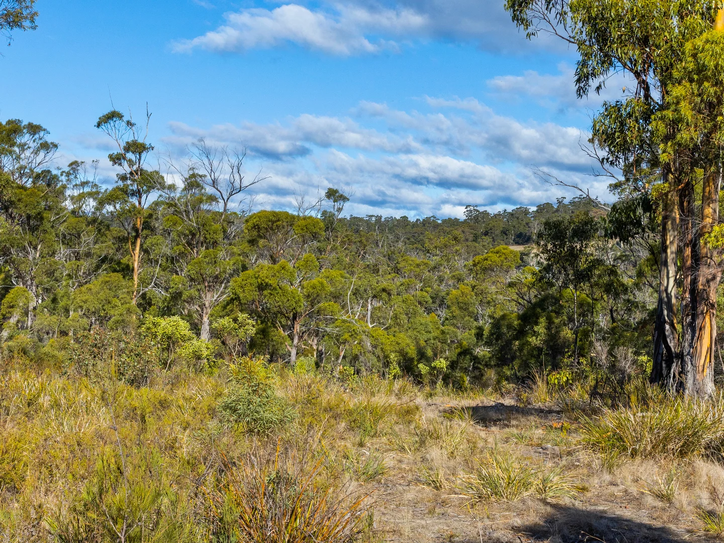 Additional image 25 of 4017 Arthur Highway, Murdunna TAS 7178