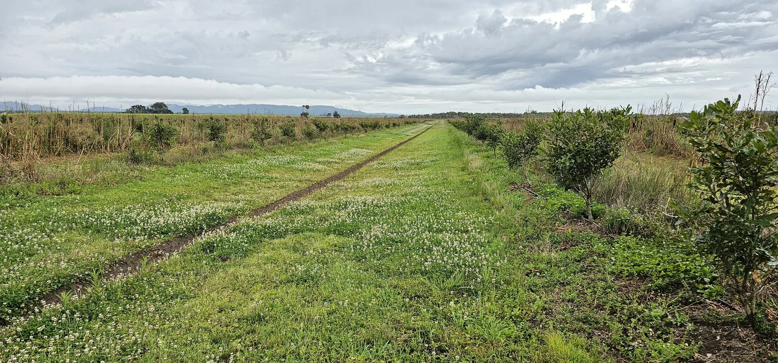 Additional image 7 of Lot 5 Walshs Lane, East Wardell NSW 2477