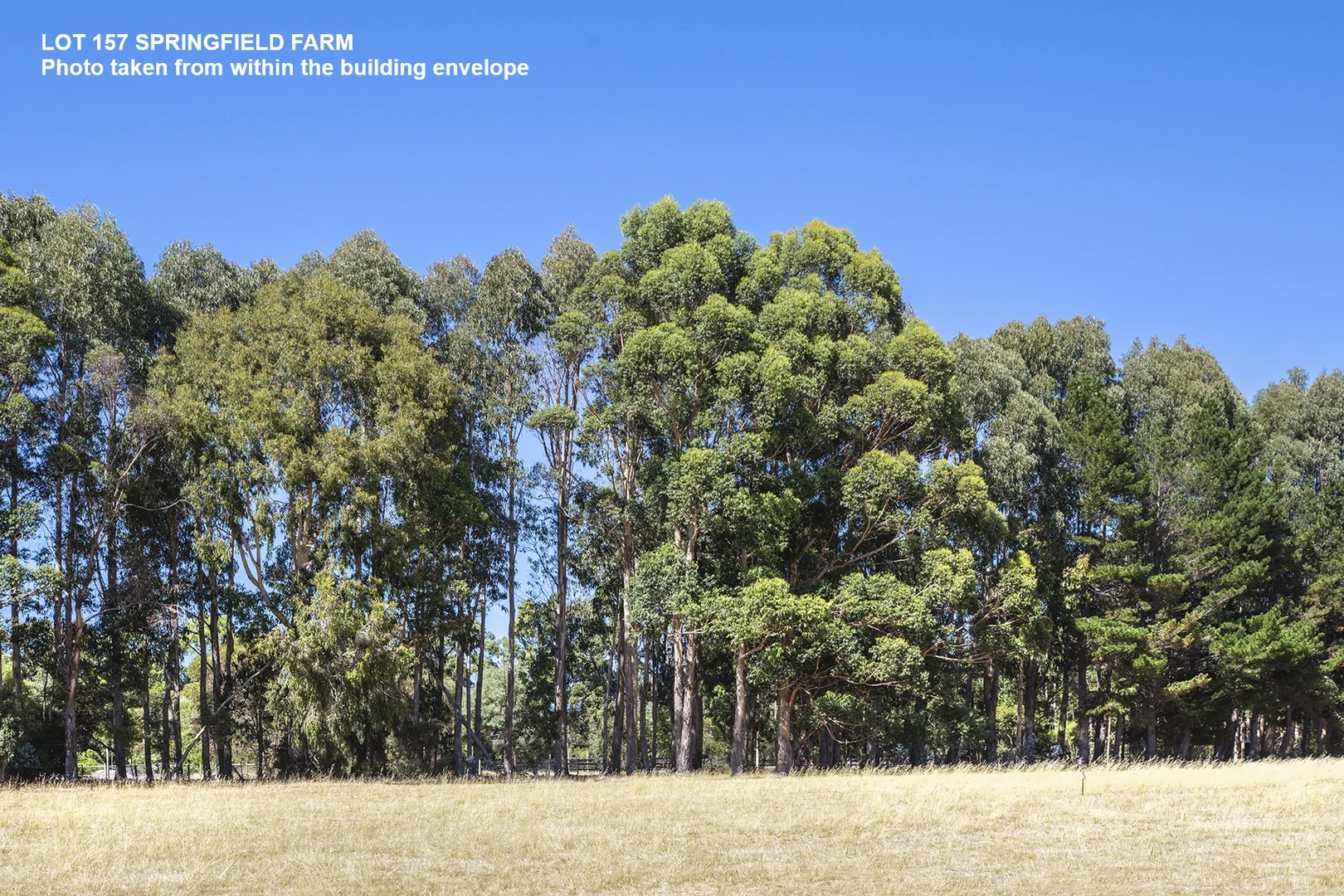 Additional image 4 of Lot 157 Springfield Farm, Yallingup WA 6282