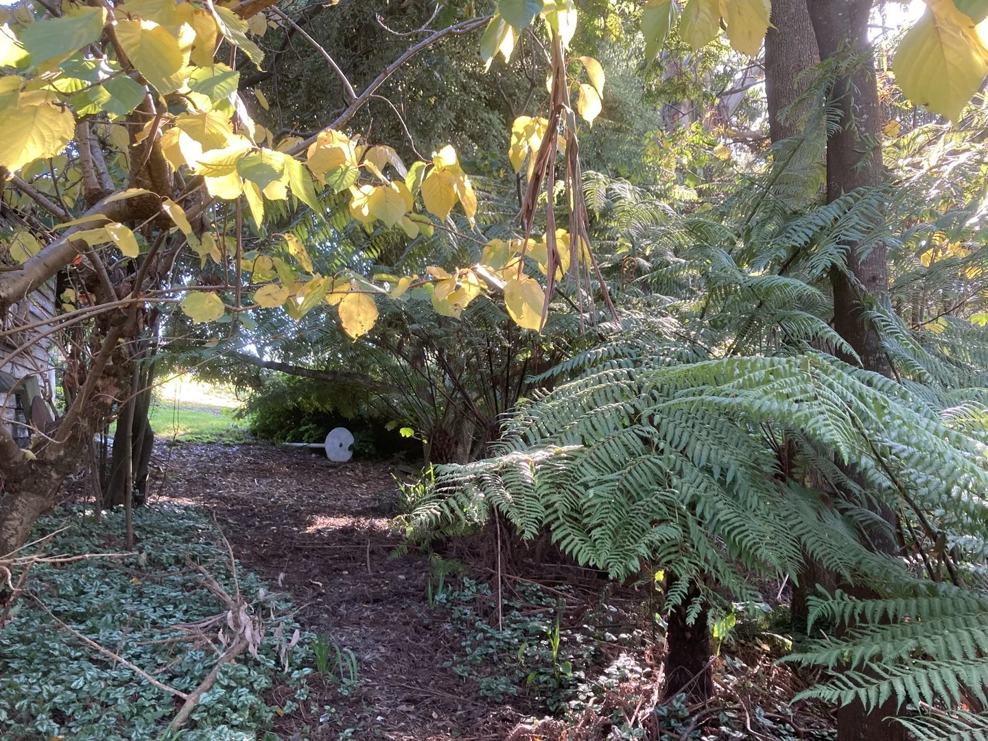 Additional image 2 of 65 Dykes Outlet Rd, Dollar VIC 3871