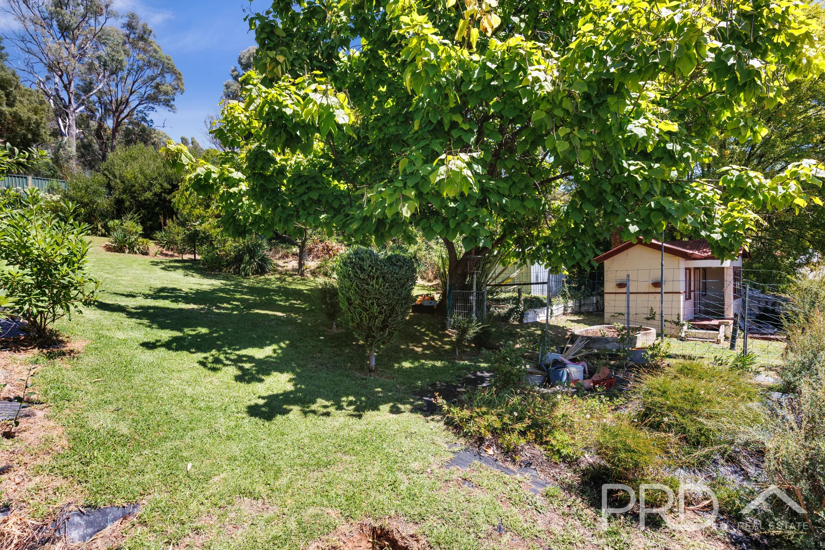 Additional image 21 of 16 Eurabbie Street, Batlow NSW 2730