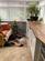Additional image 8 of Holmbush Road, St Austell, PL25