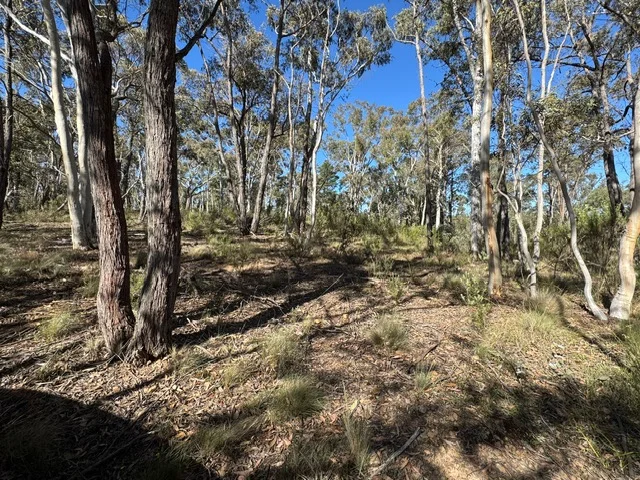 Additional image 3 of 671 Towrang Road, Towrang NSW 2580