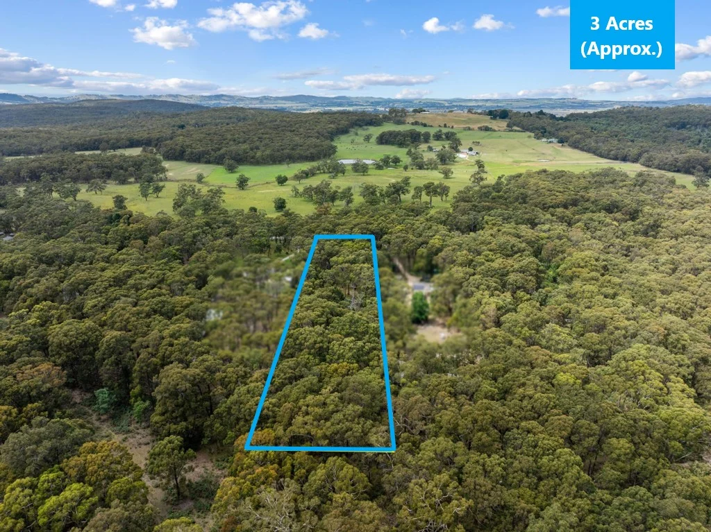 Additional image 3 of 93 Feeneys Lane, Benloch VIC 3435