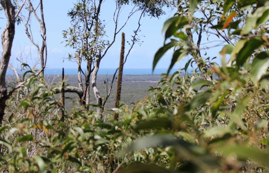 Additional image 33 of 492 Capricornia Drive, Deepwater QLD 4674