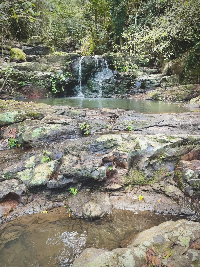 Additional image 12 of 76 Maso Road, Repentance Creek NSW 2480