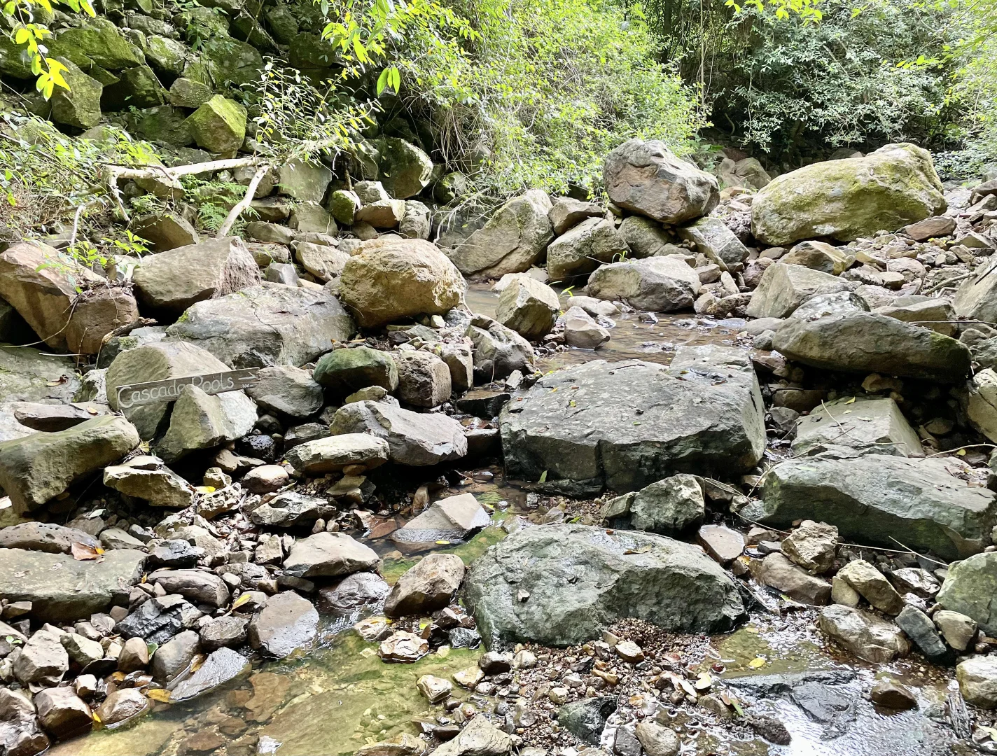 Additional image 17 of 76 Maso Road, Repentance Creek NSW 2480