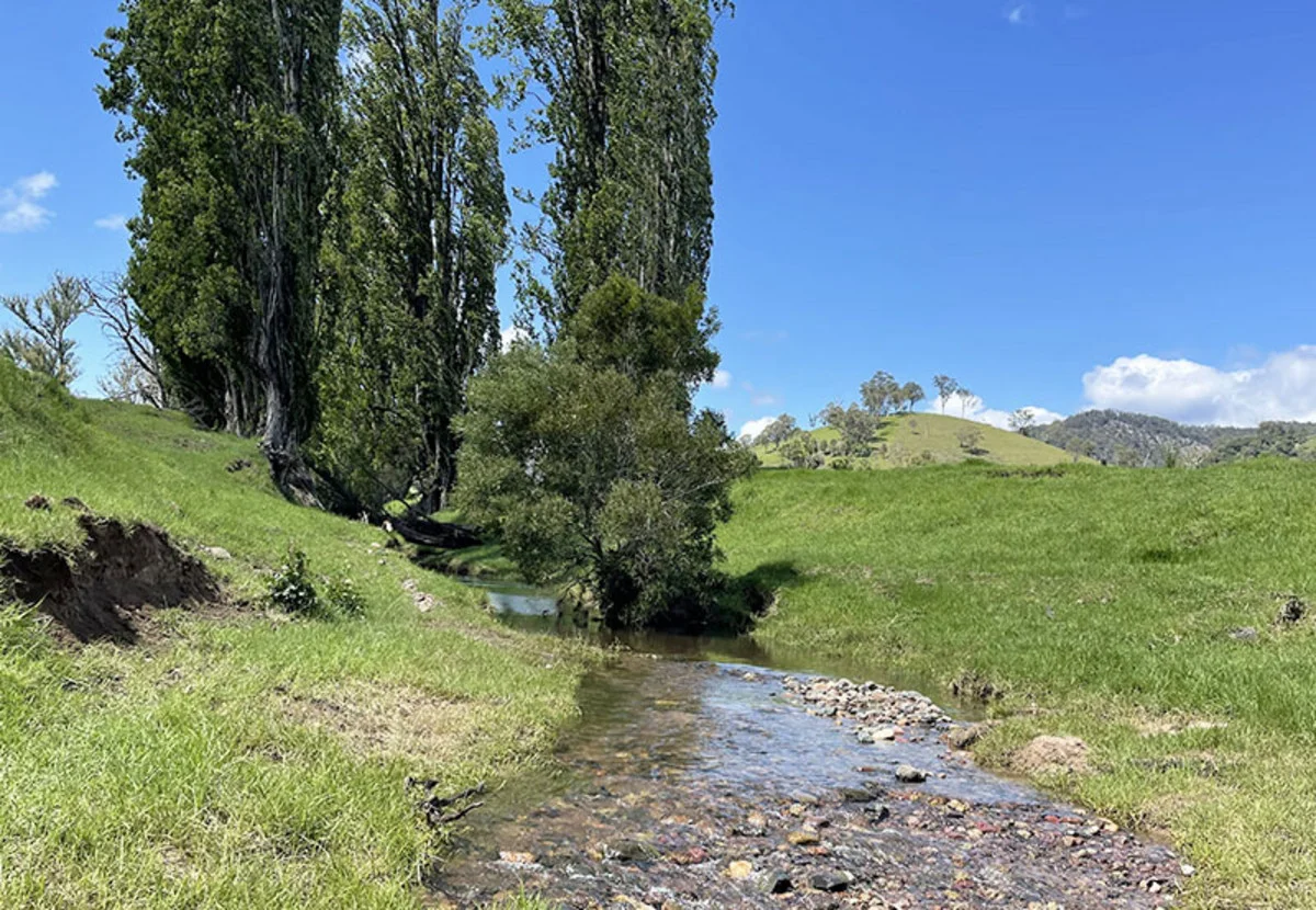 Additional image 6 of 169 Cochranes Road, Wolumla NSW 2550