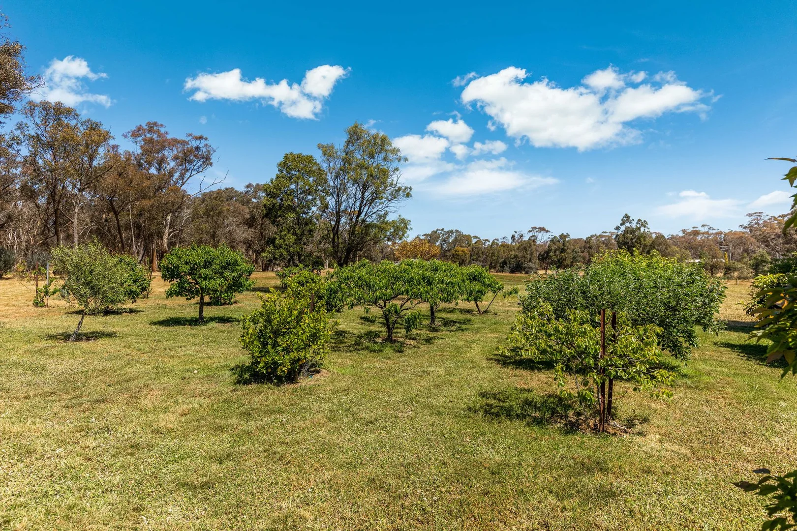 Additional image 32 of 253 Nankervis Road, Mandurang VIC 3551