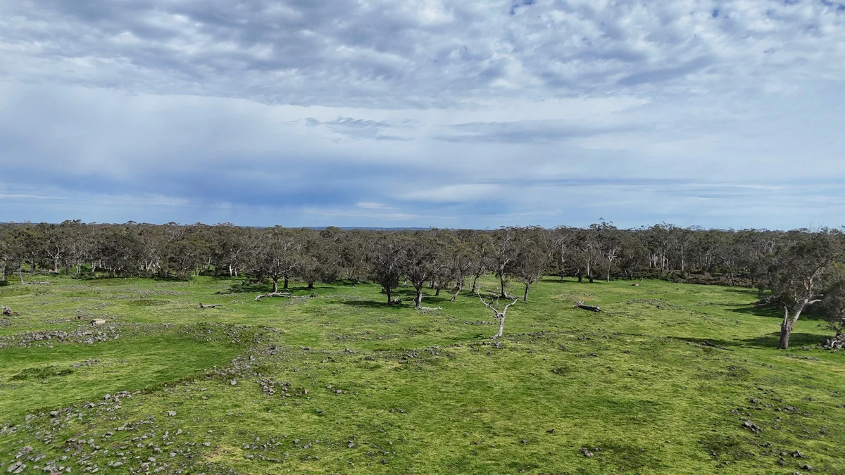 Additional image 17 of 250 Scoullers Road, Stonyford VIC 3260
