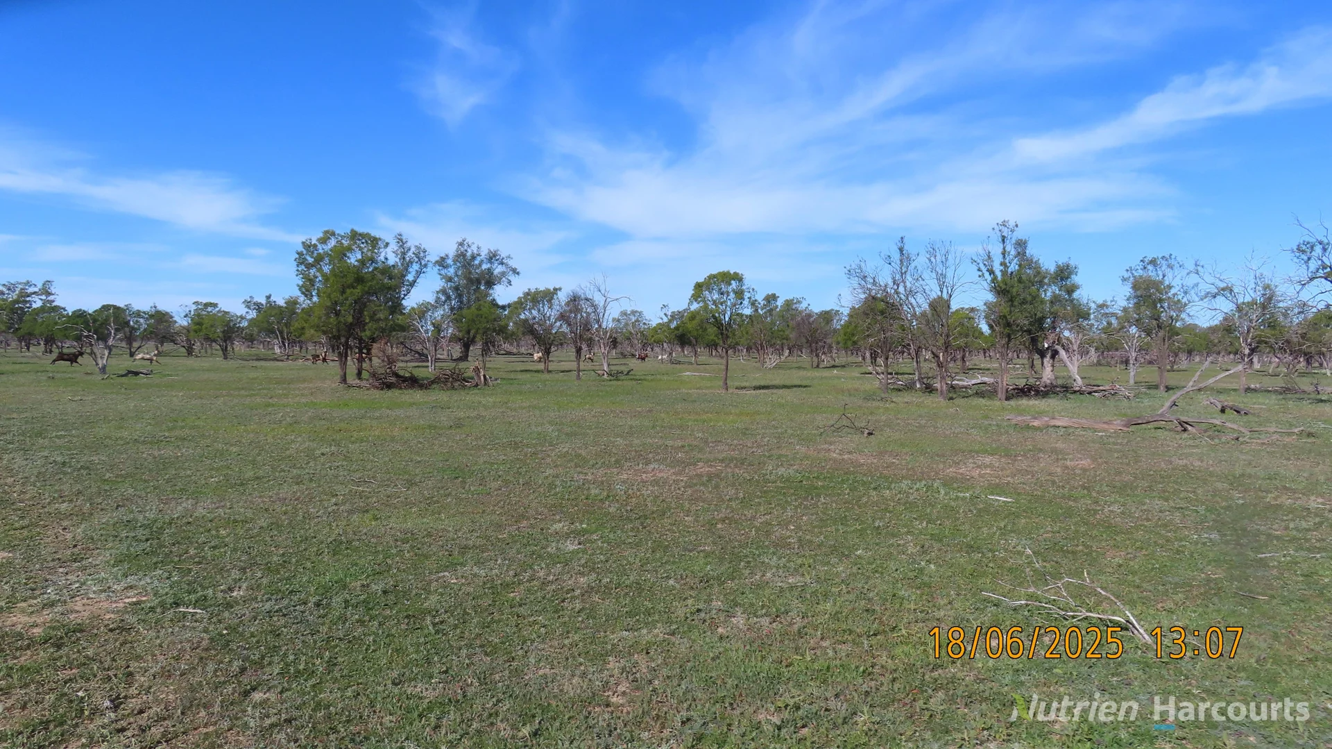 Additional image 17 of * Springvale, Walgett NSW 2832