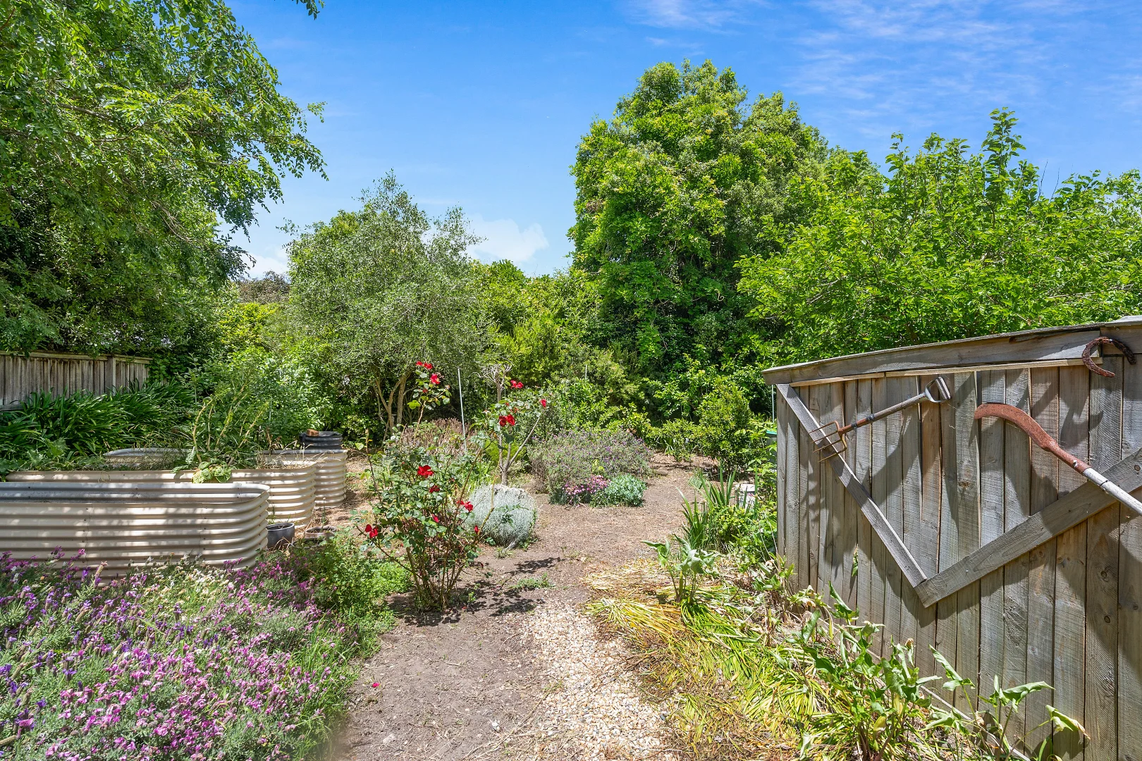 Additional image 14 of 51 Woodbine Street, Bowral NSW 2576