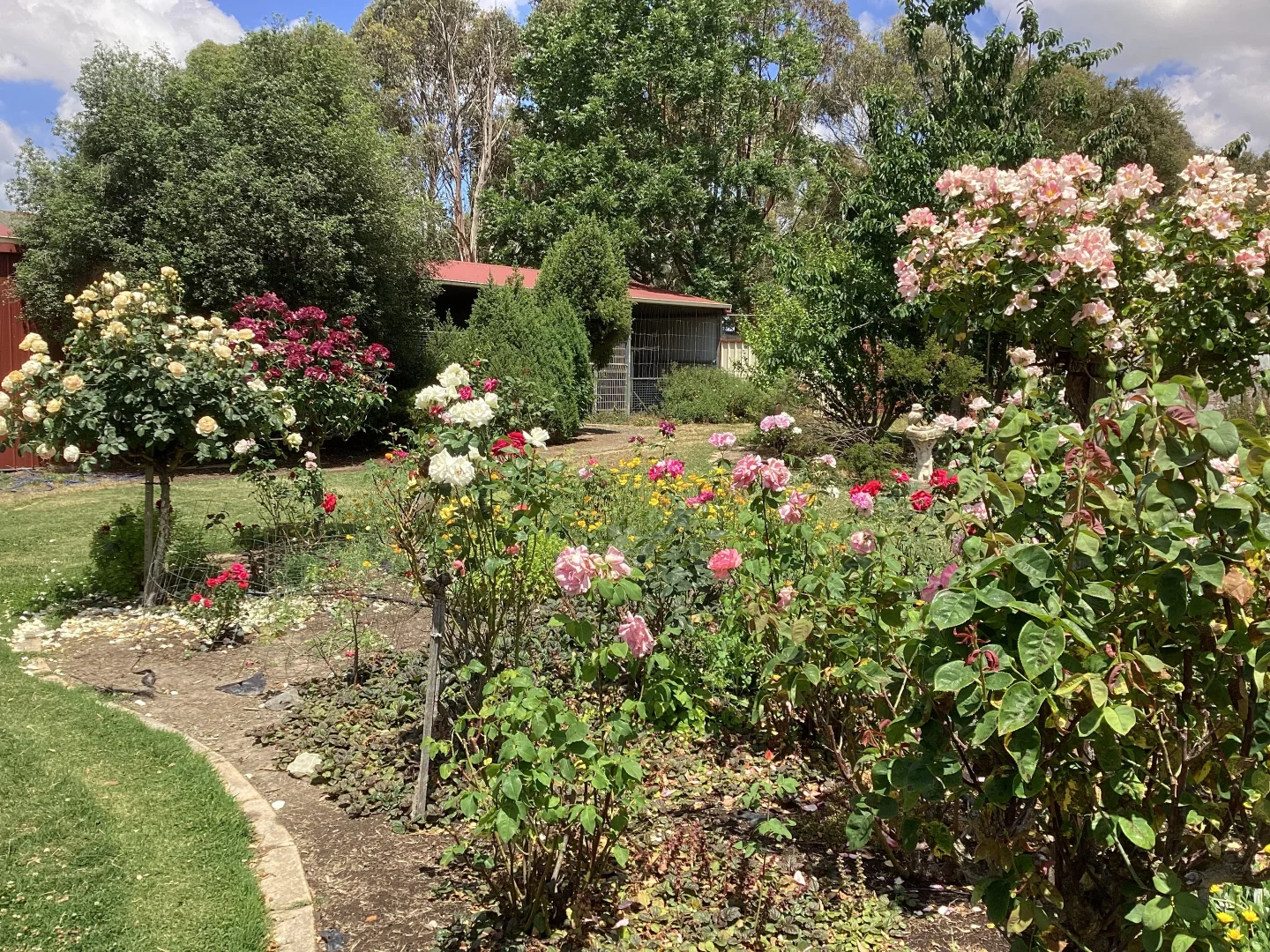 Additional image 23 of 226 Wilsons Road, Haddon VIC 3351