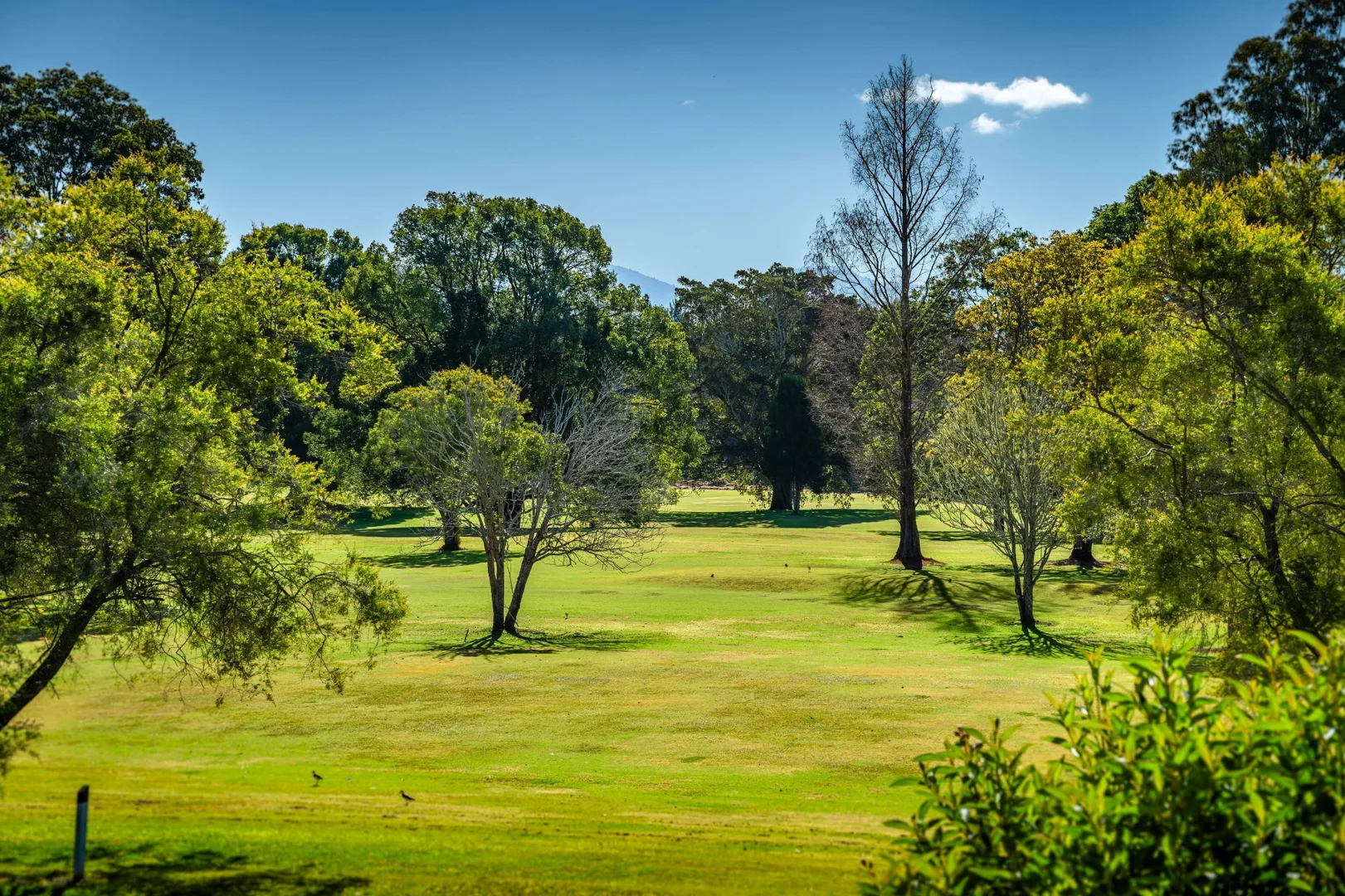 Additional image 32 of 1117 Waterfall Way, Bellingen NSW 2454