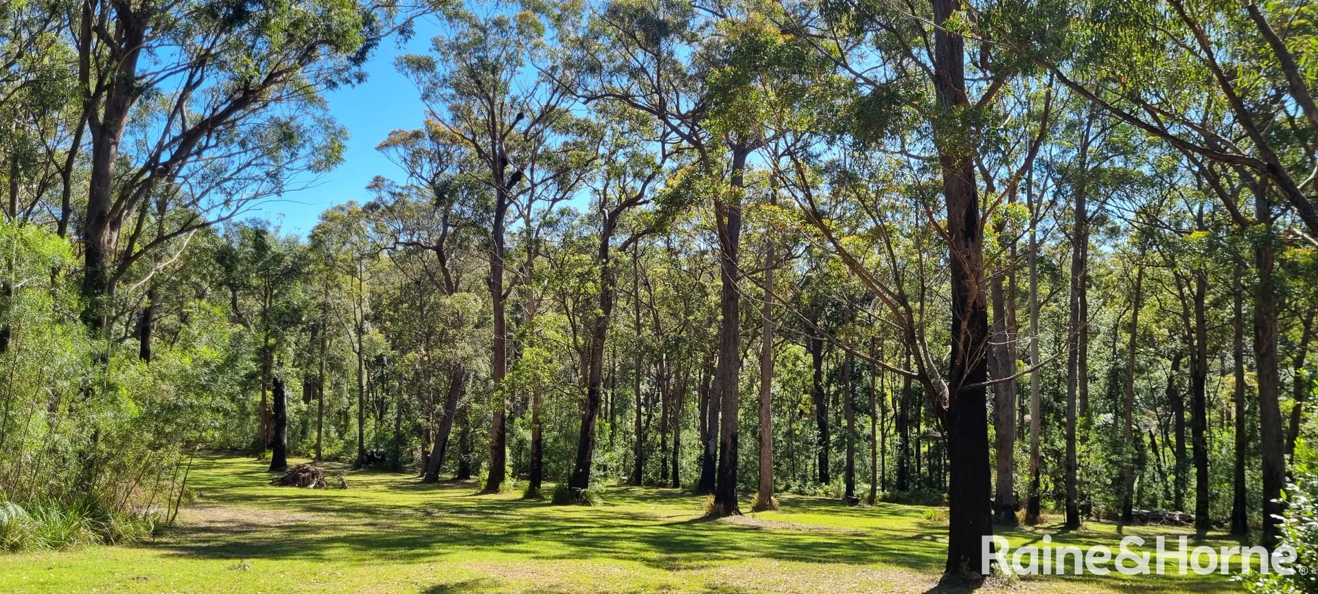 Additional image 14 of Lot 3, 315C Little Forest Road, Little Forest NSW 2538