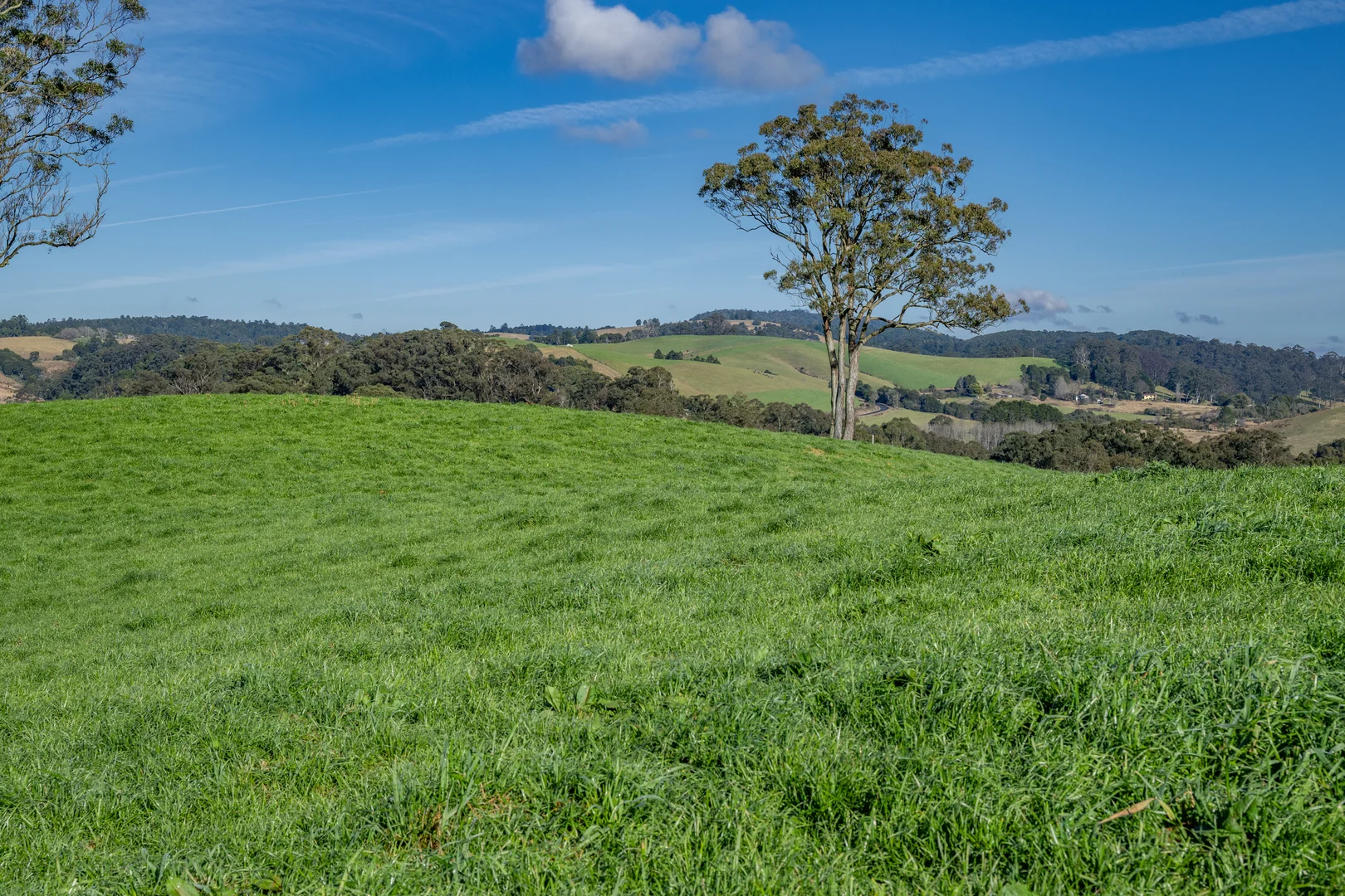 Additional image 9 of 1431 Coramba Road, Dorrigo NSW 2453