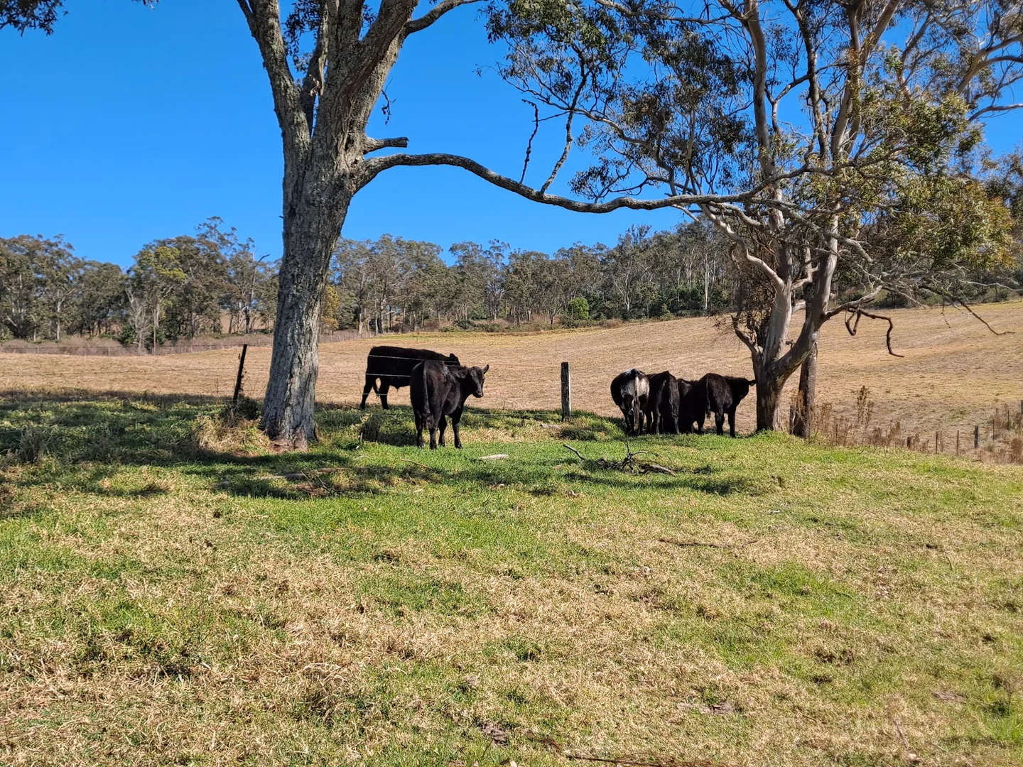 Additional image 24 of Lot 1 and Lot 5 Bald Hills Road, Plainby QLD 4355