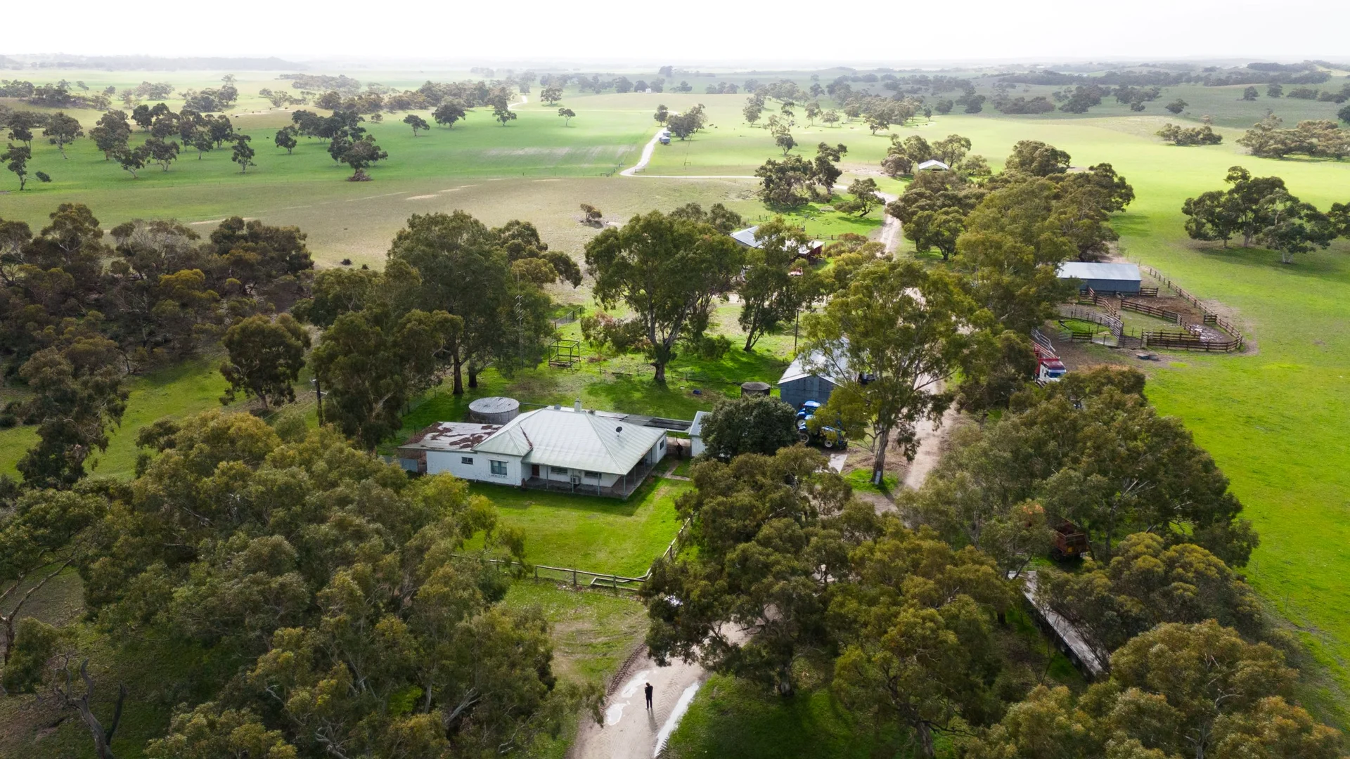 Additional image 2 of 8 Coombe Road, Tintinara SA 5266