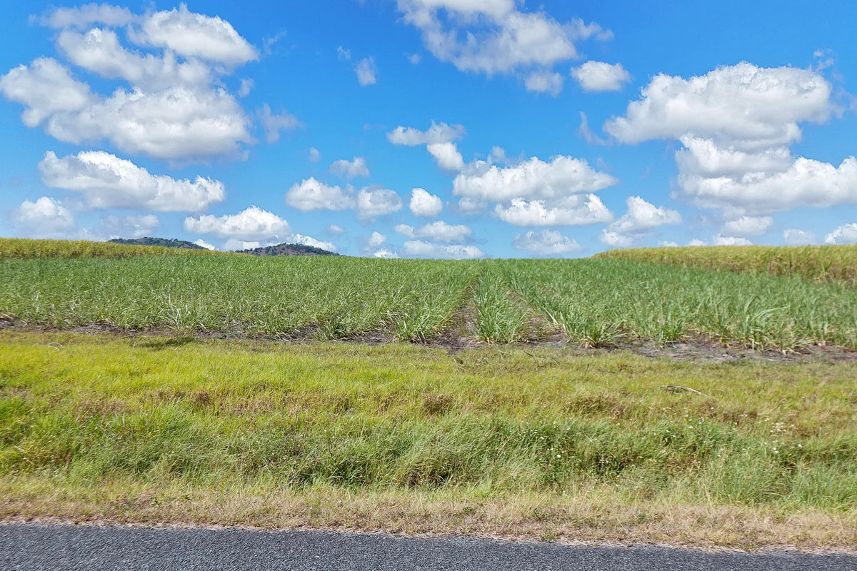 Additional image 4 of 1 Kochs Road, Farleigh QLD 4741