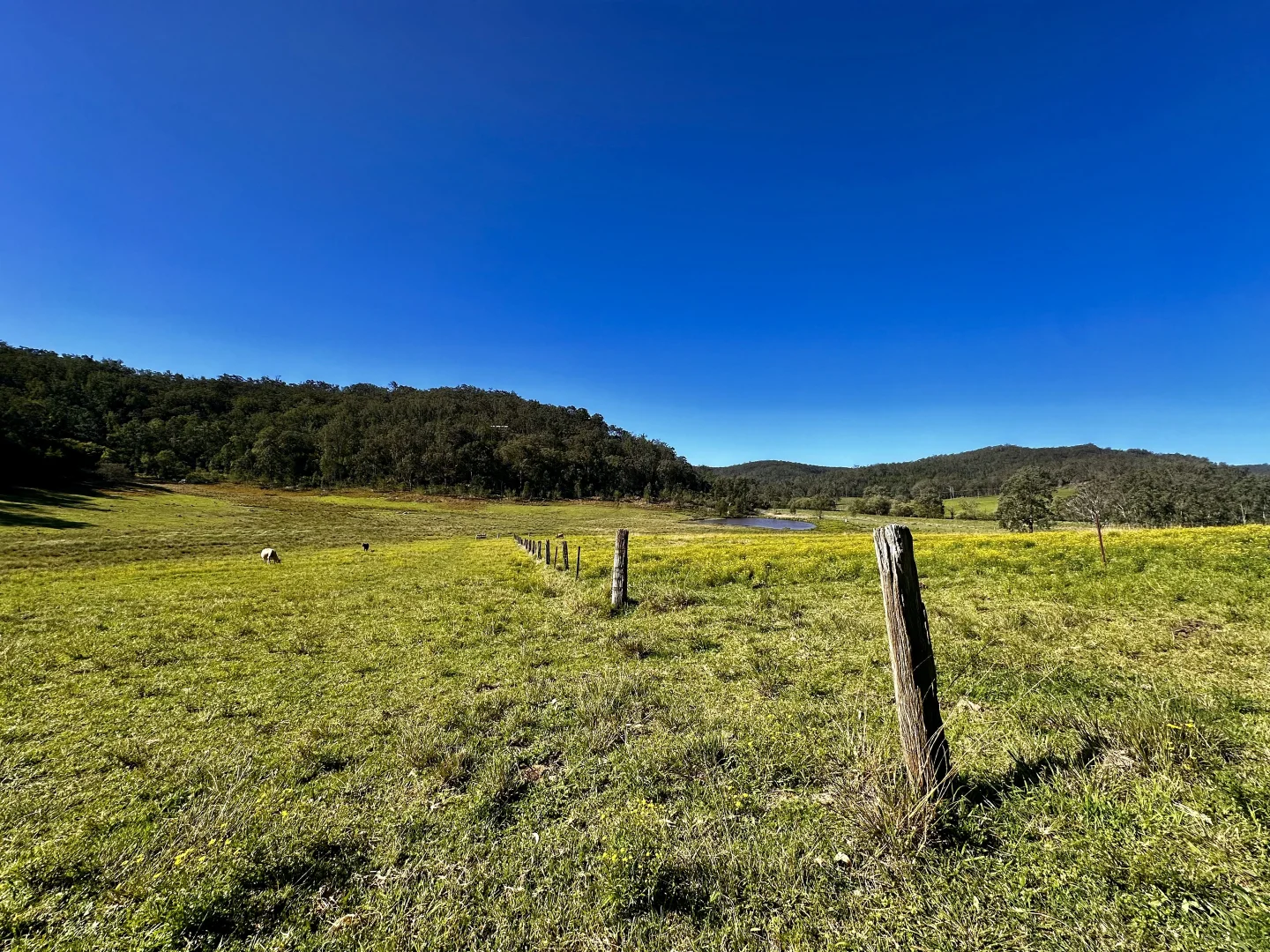 Additional image 13 of 3300 Great North Road, Wollombi NSW 2325
