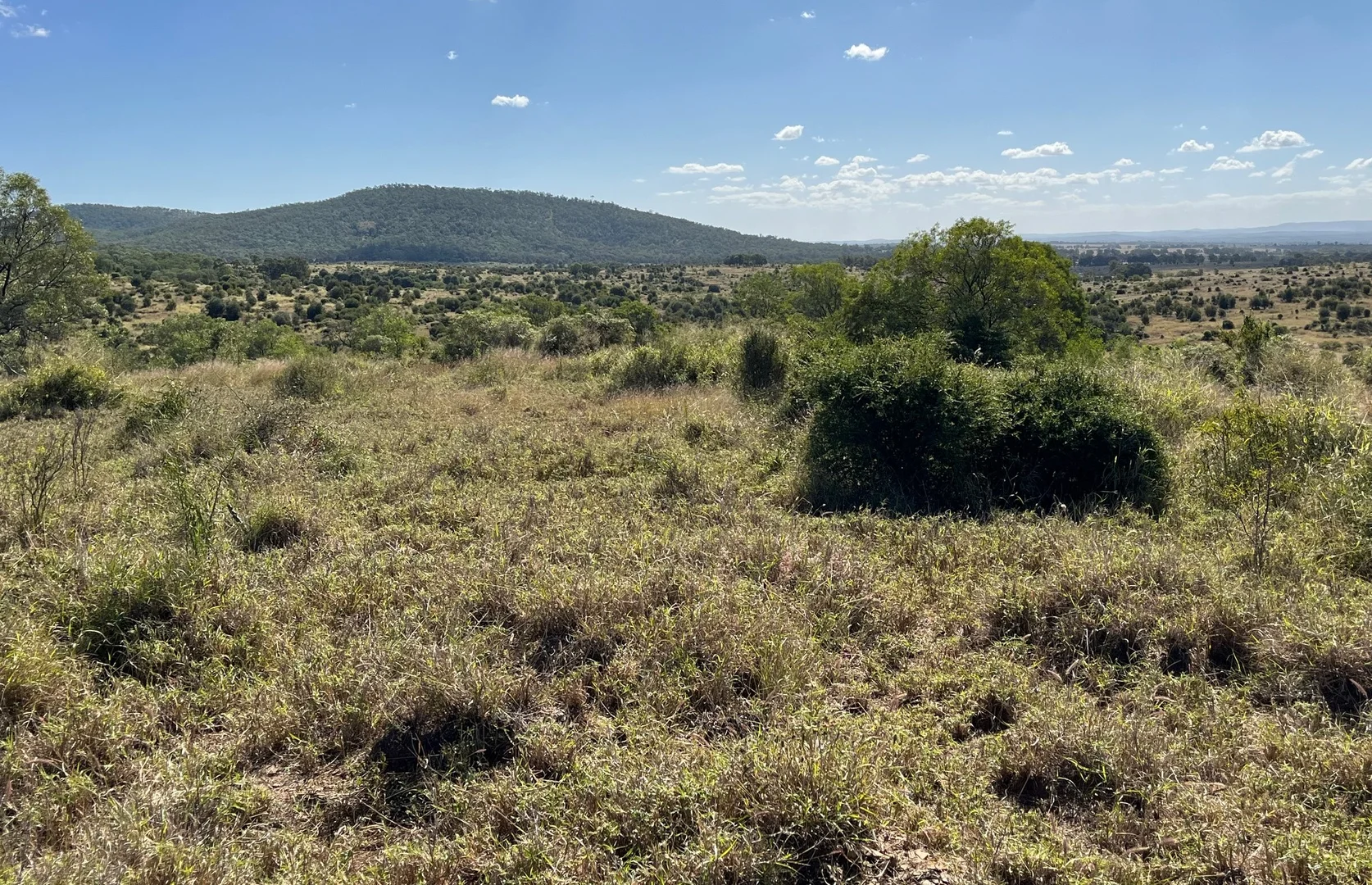 Additional image 9 of Kokotungo QLD 4702
