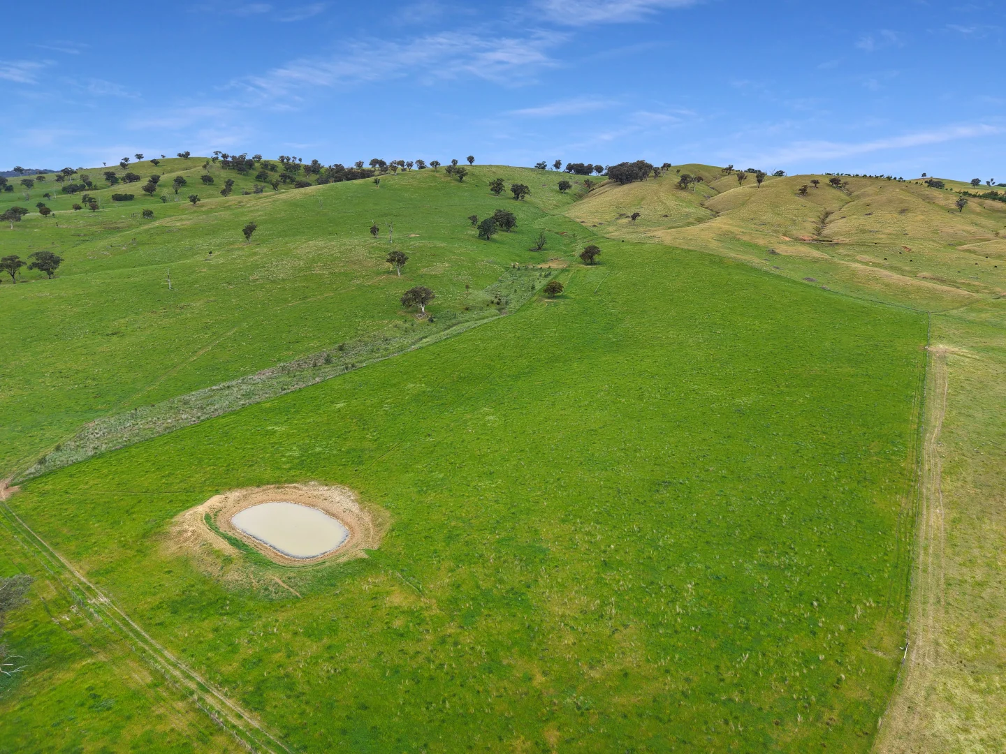 Additional image 18 of 'horse Gully' Old Waugoola Road, Woodstock NSW 2793