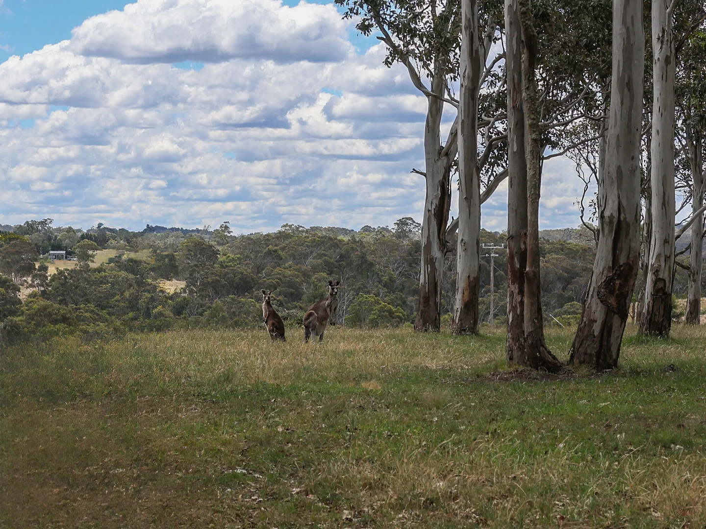 Additional image 44 of 49 Binghams Lane, Tallong NSW 2579