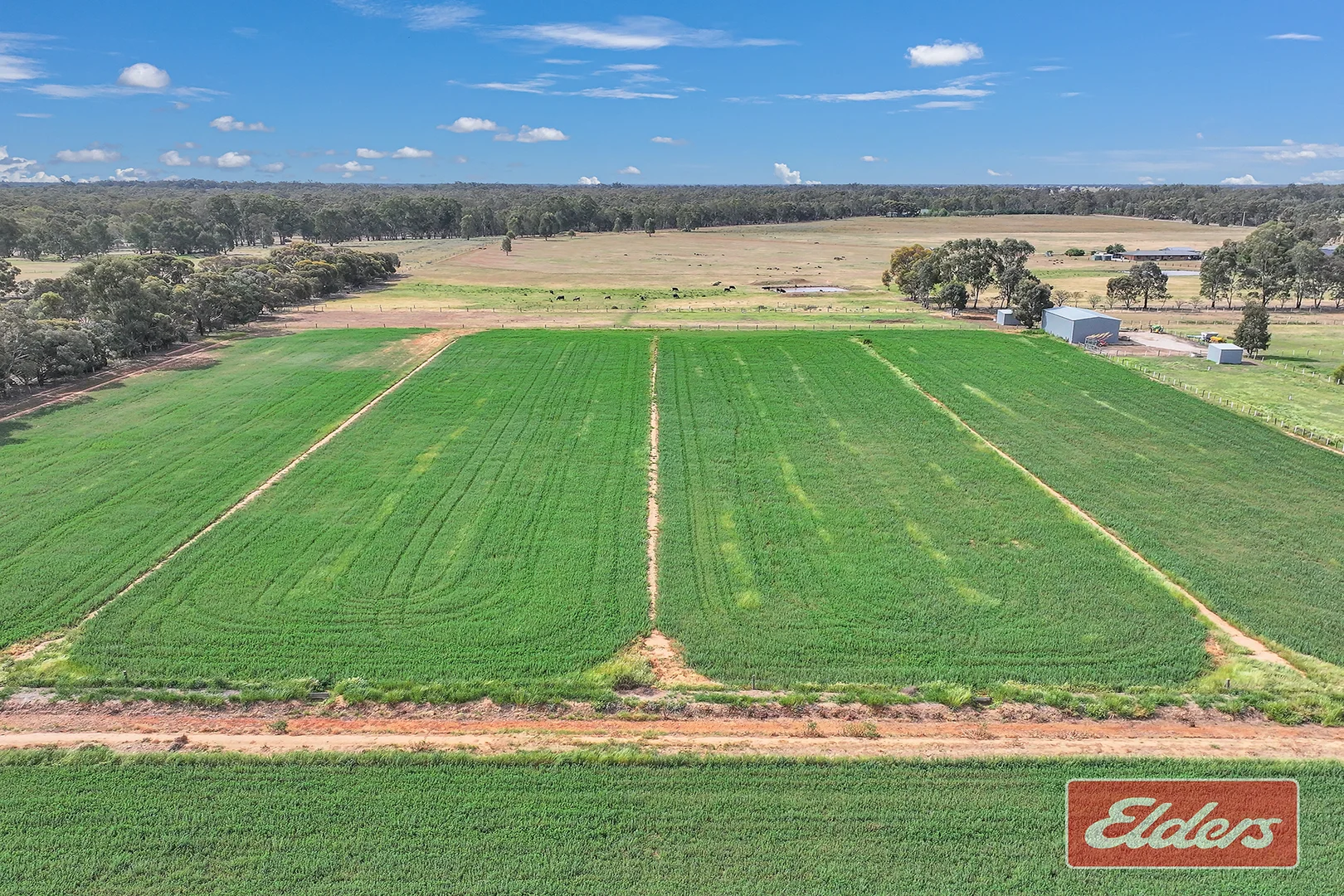 Additional image 27 of 251 O'Dwyer Road, Wharparilla VIC 3564