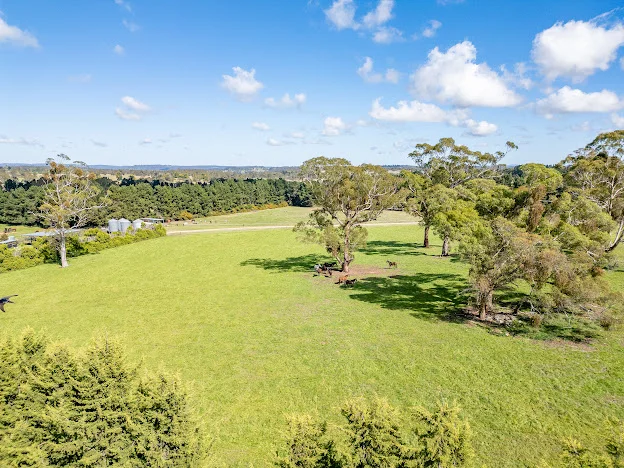 Additional image 15 of 543 Aberbaldie road, Walcha NSW 2354