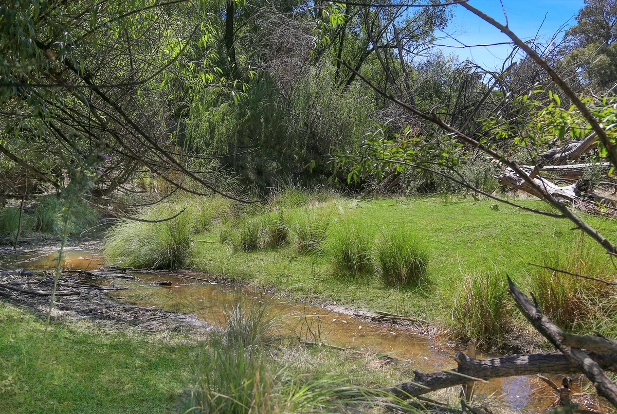 Additional image 7 of 46 Hearn Street, Bigga NSW 2583