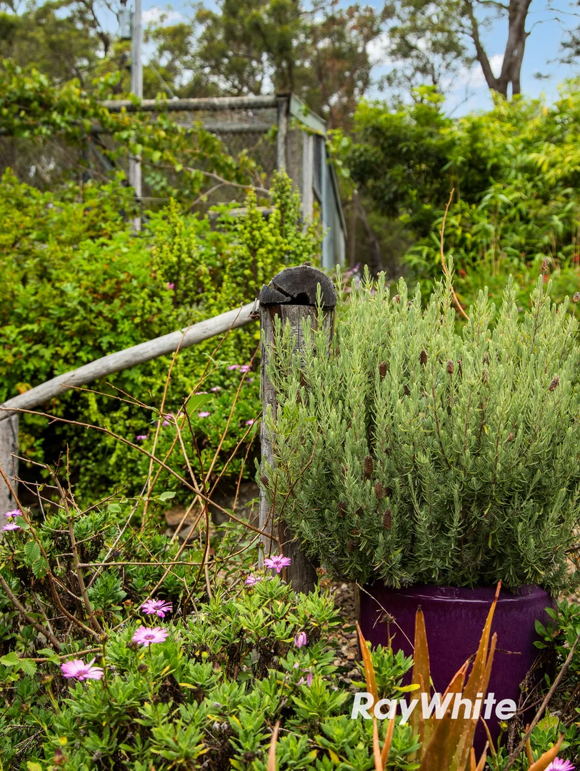 Additional image 57 of 1103 Congo Road, Meringo NSW 2537