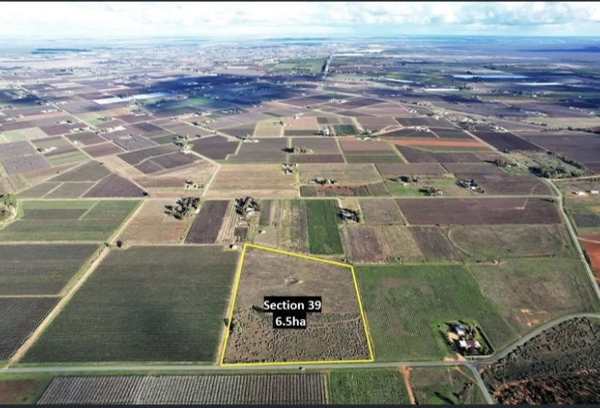 39 Canal Road, Renmark SA 5341