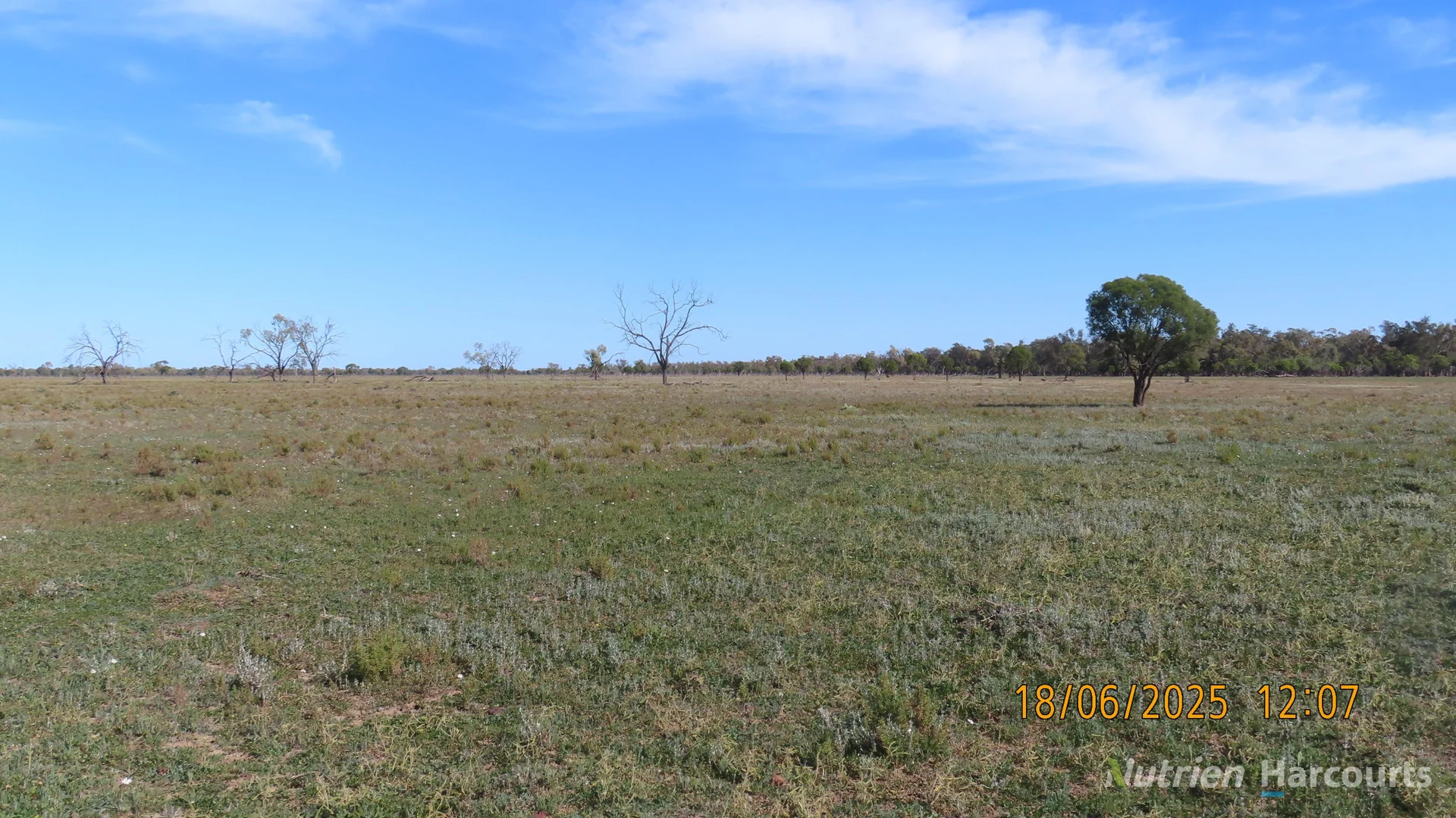 Additional image 34 of * Springvale, Walgett NSW 2832