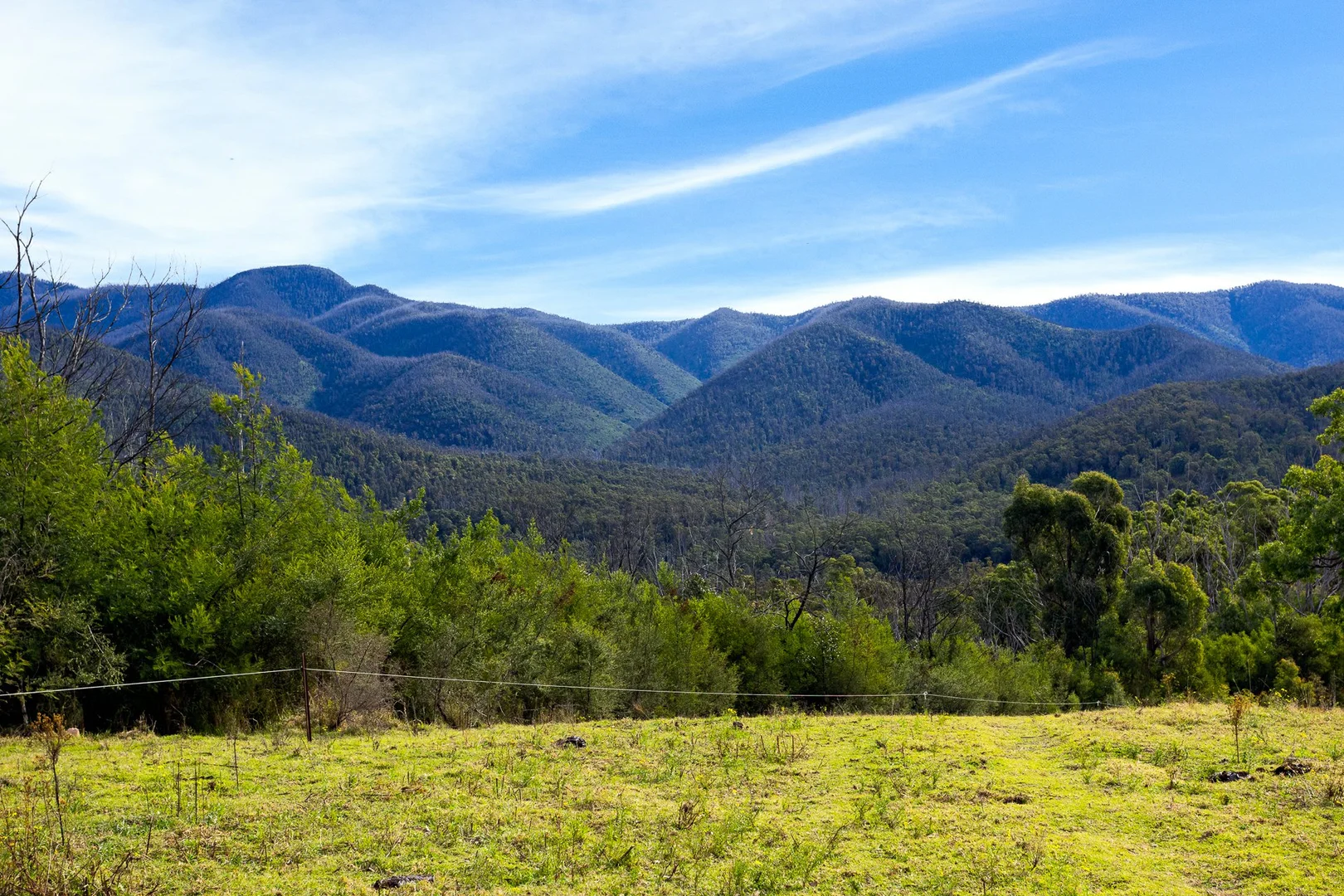 Additional image 15 of Lot 63 Watts Road, Cobargo NSW 2550