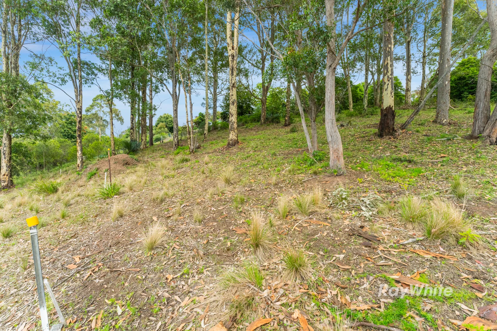 Additional image 4 of 33 Berrima Street, Catalina NSW 2536