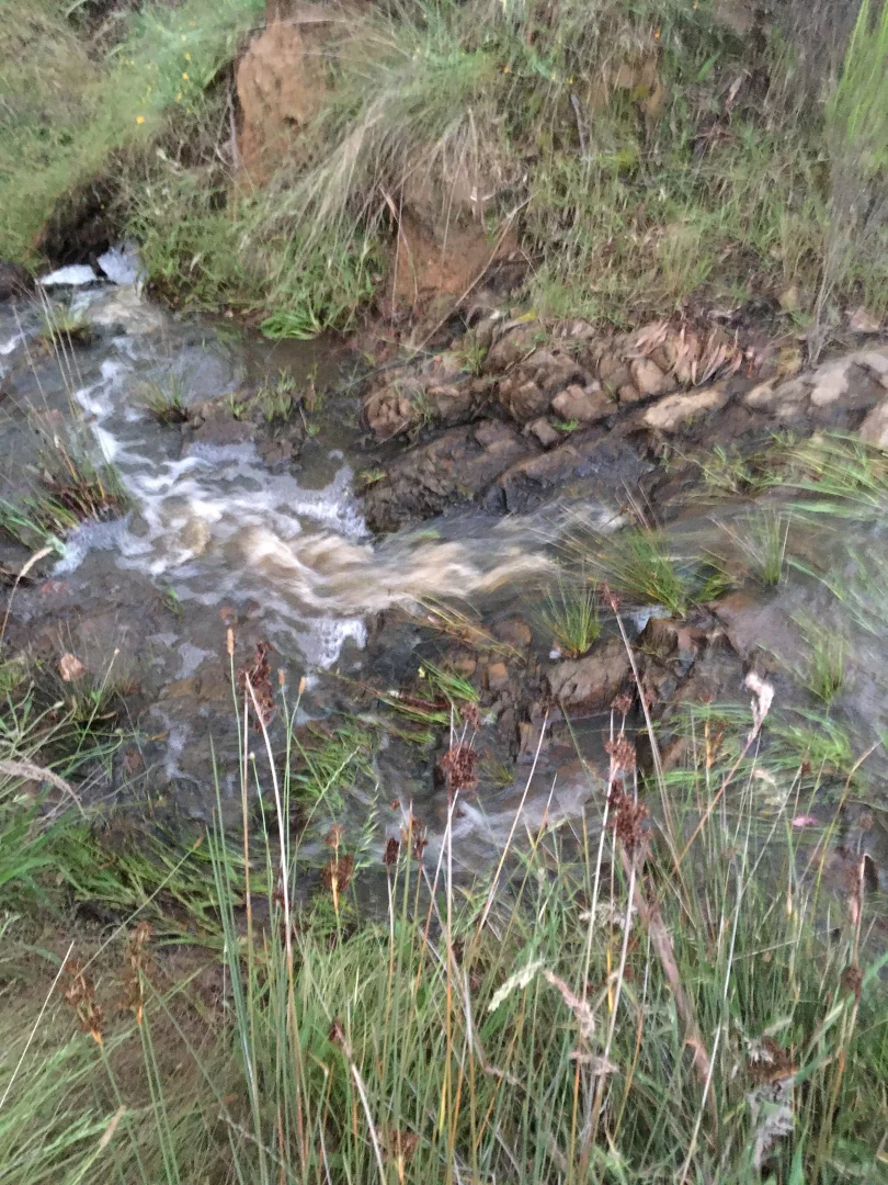 Additional image 19 of 560 Collector Road, Gunning NSW 2581