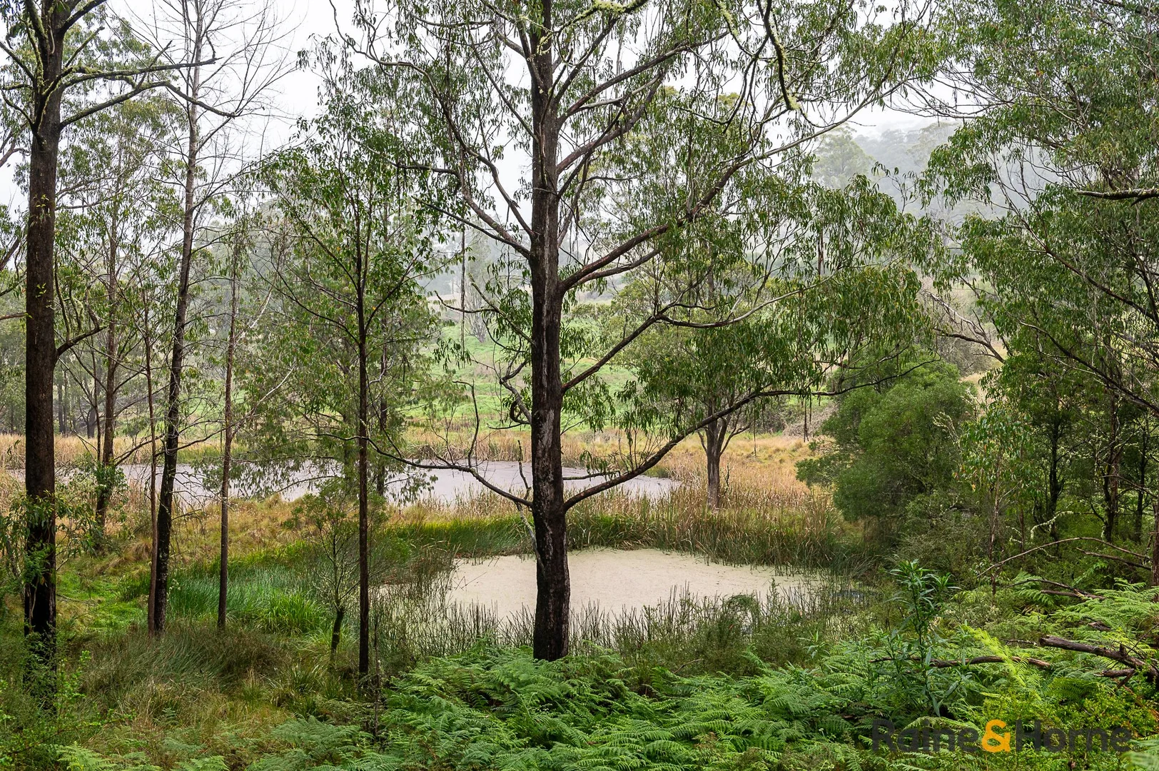 Additional image 6 of 4833 Brackendale Road, Nowendoc NSW 2354