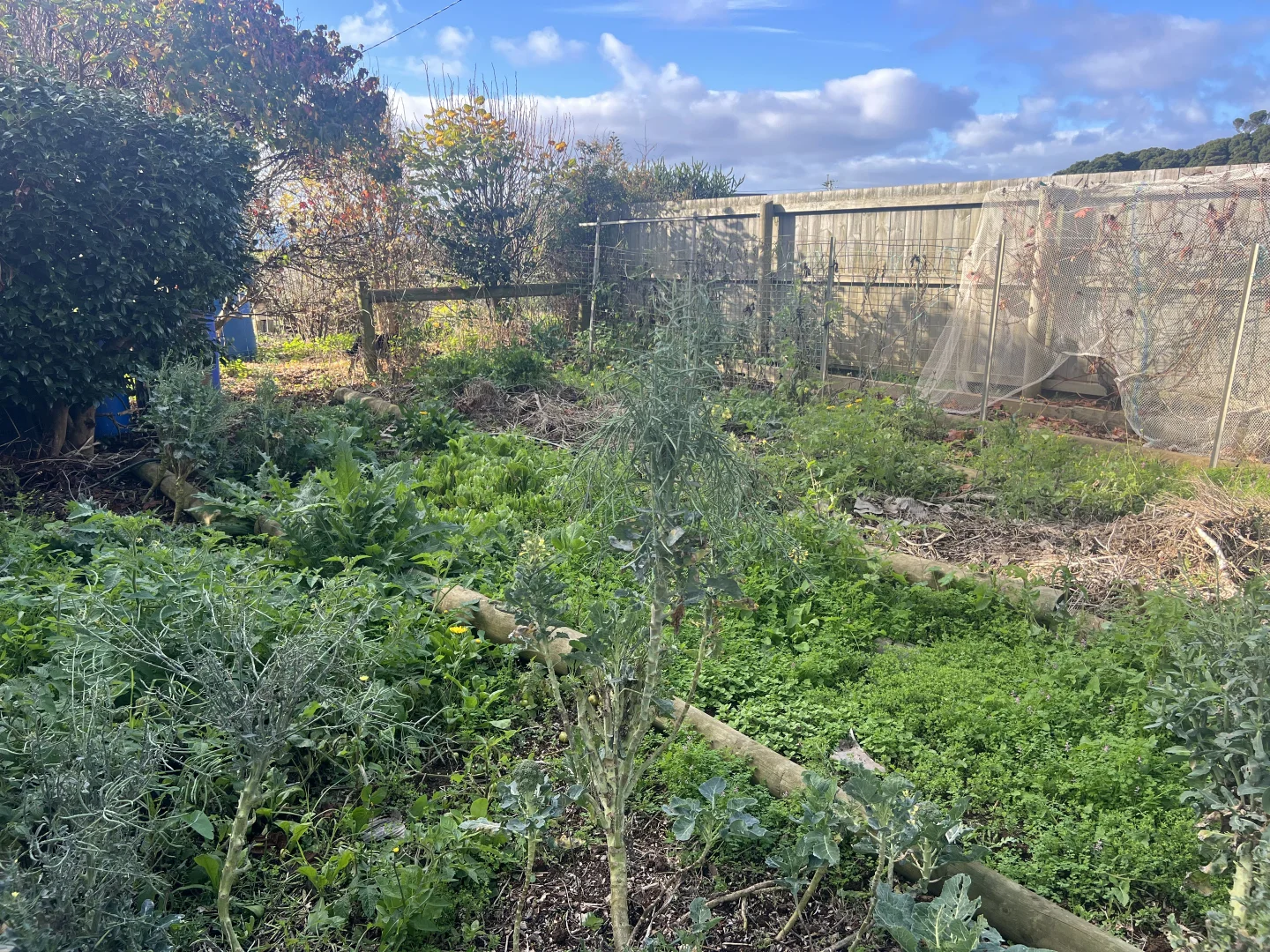 Additional image 42 of 19 Forrest Street, Naracoopa TAS 7256