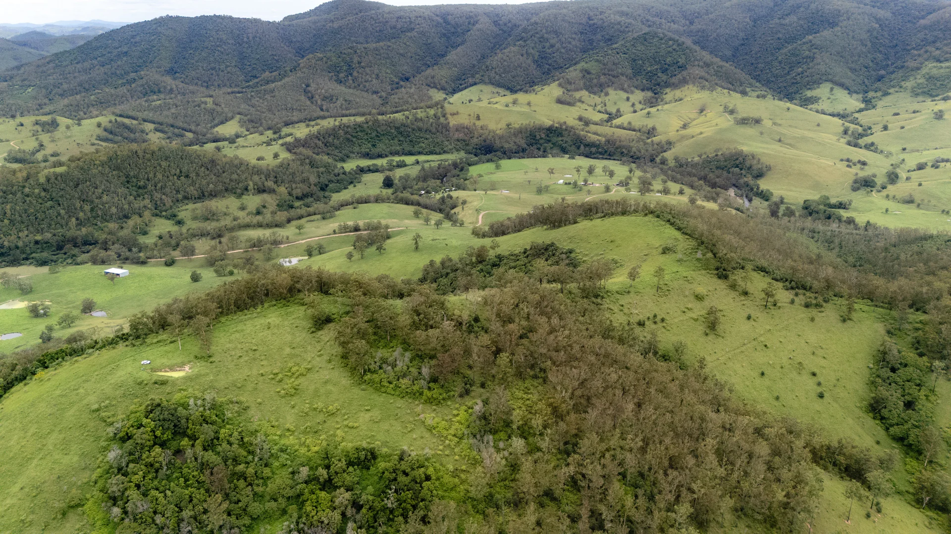 Additional image 14 of 141 Khatambuhl Creek Road, Mount George NSW 2424