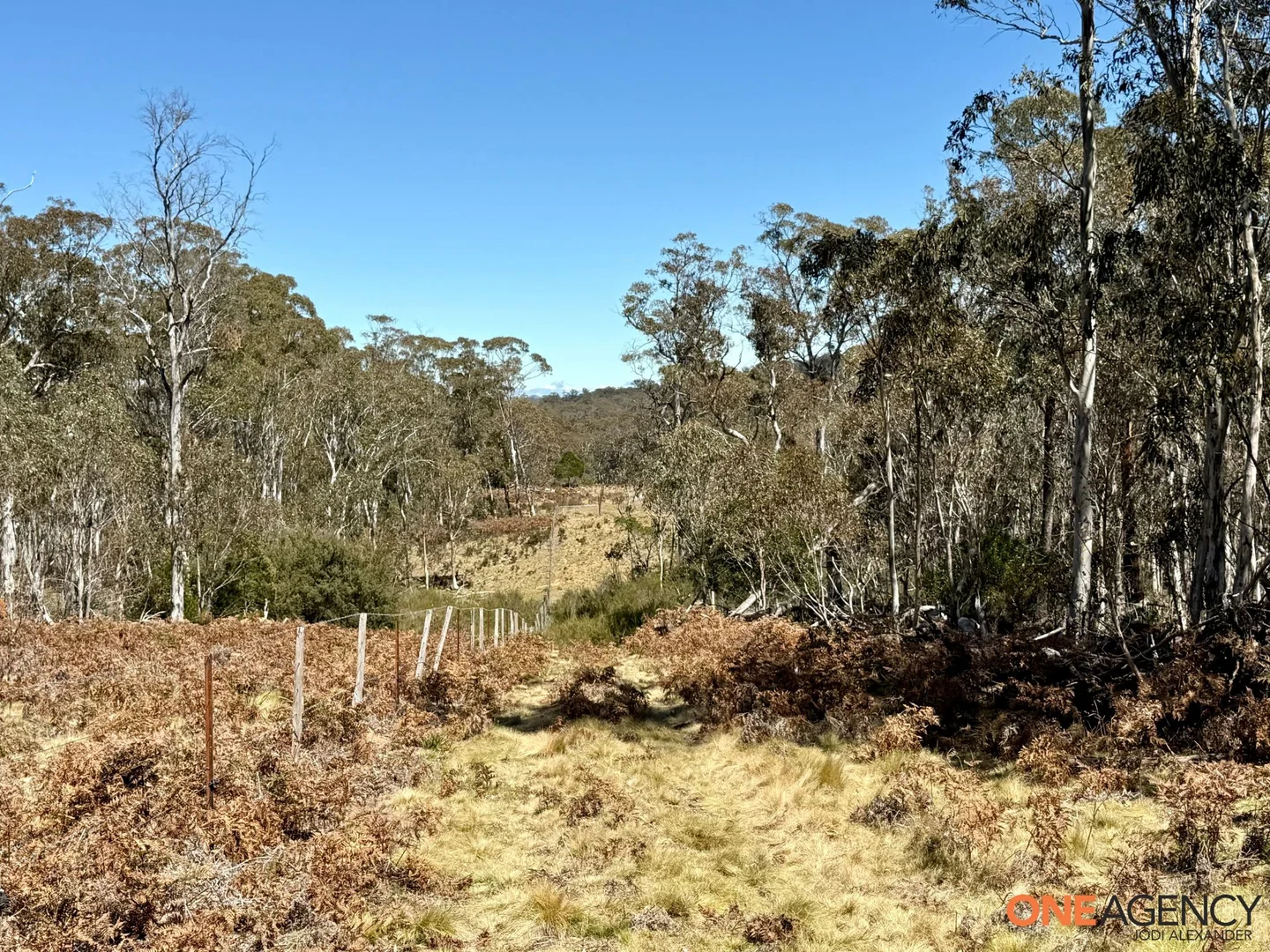 Additional image 14 of Lots 113 & 114 Kydra Firetrail Greenlands Road, Greenlands NSW 2631