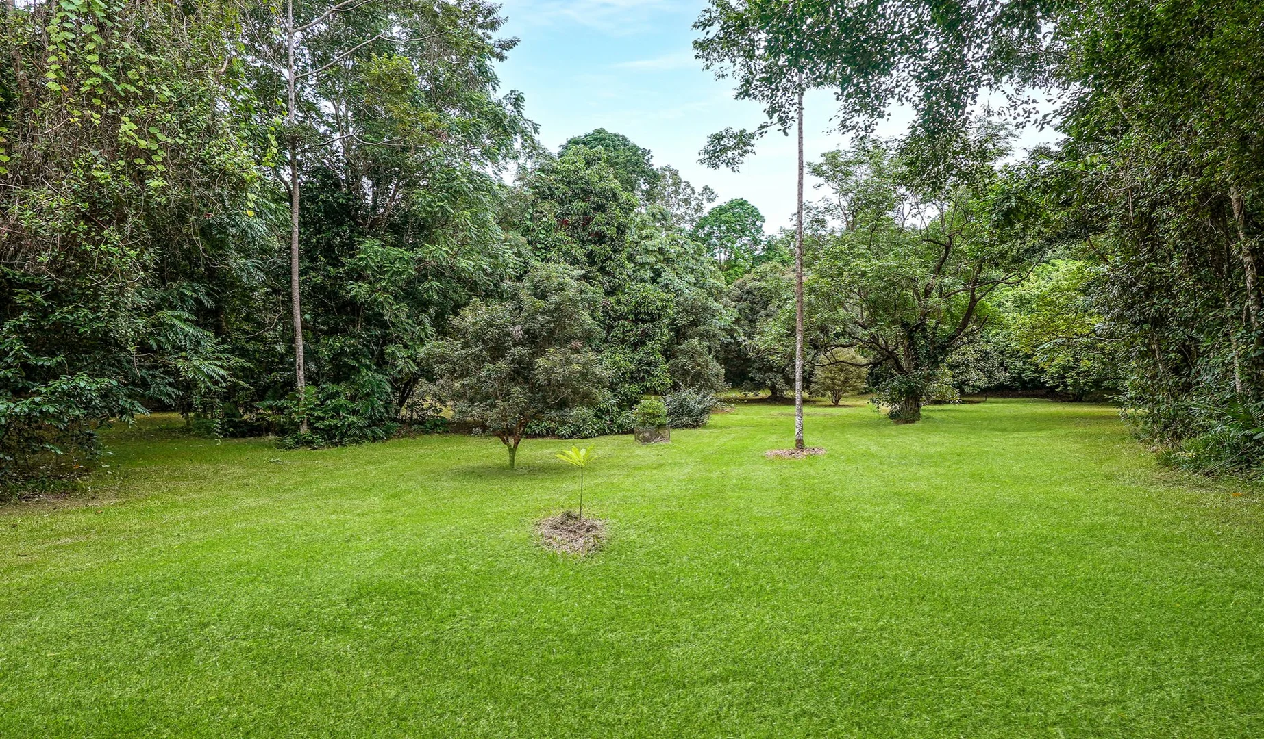 Additional image 25 of 257 Cape Kimberley Road, Daintree QLD 4873