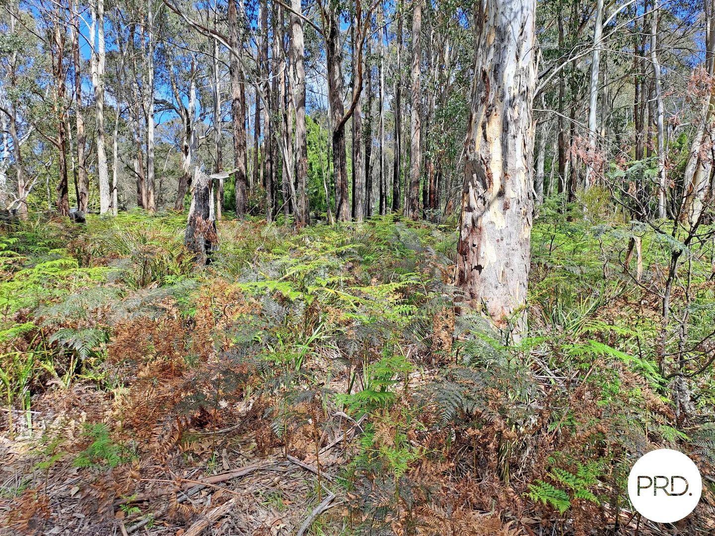 Additional image 13 of Lot 1 Ellendale Road, Ellendale TAS 7140