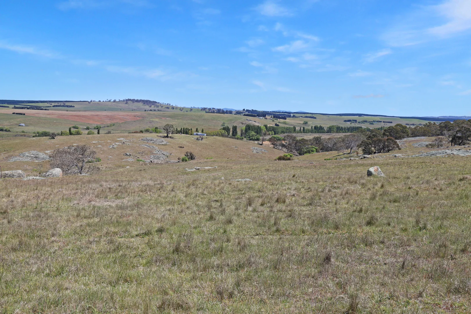 Additional image 14 of Lot 50 Delegate Road, Bombala NSW 2632