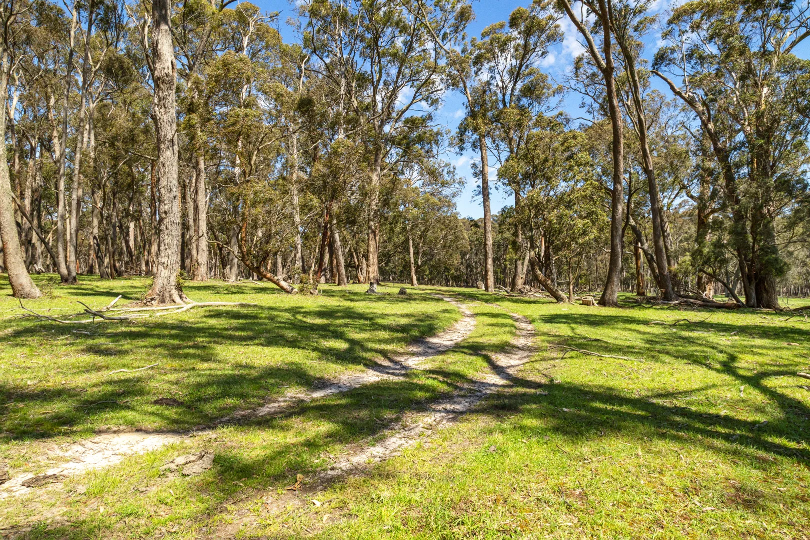 Additional image 10 of Napoleons VIC 3352