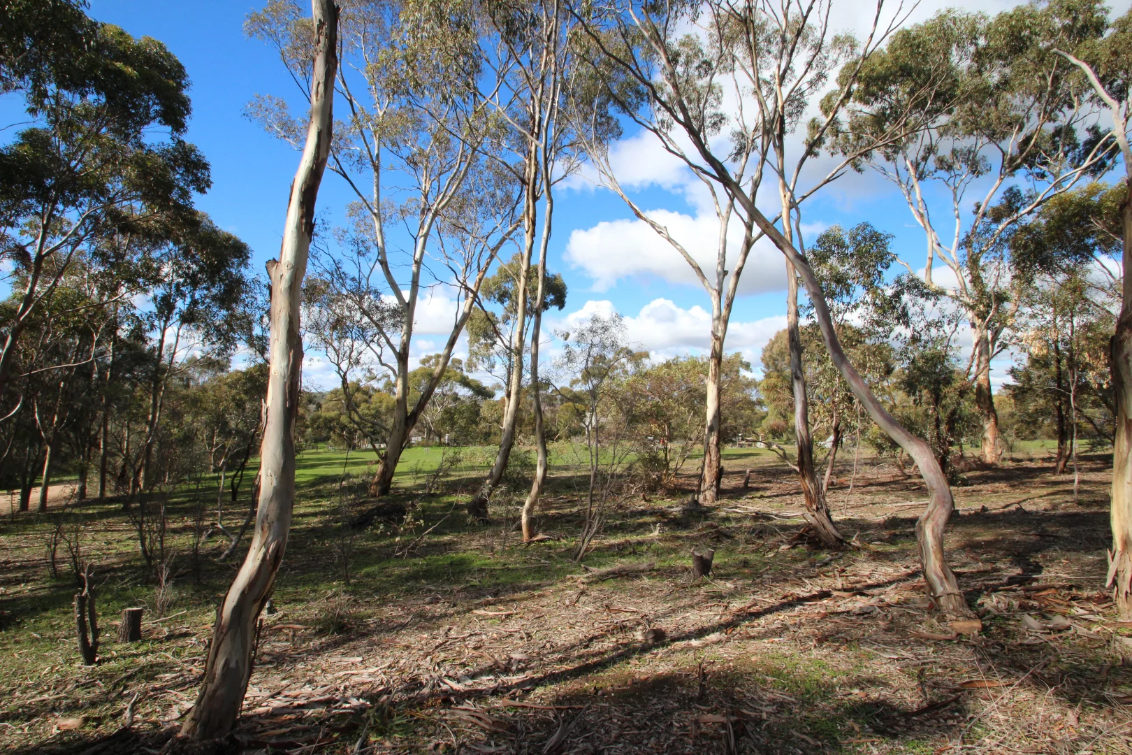 Additional image 6 of 9 West Terrace, Leasingham SA 5452