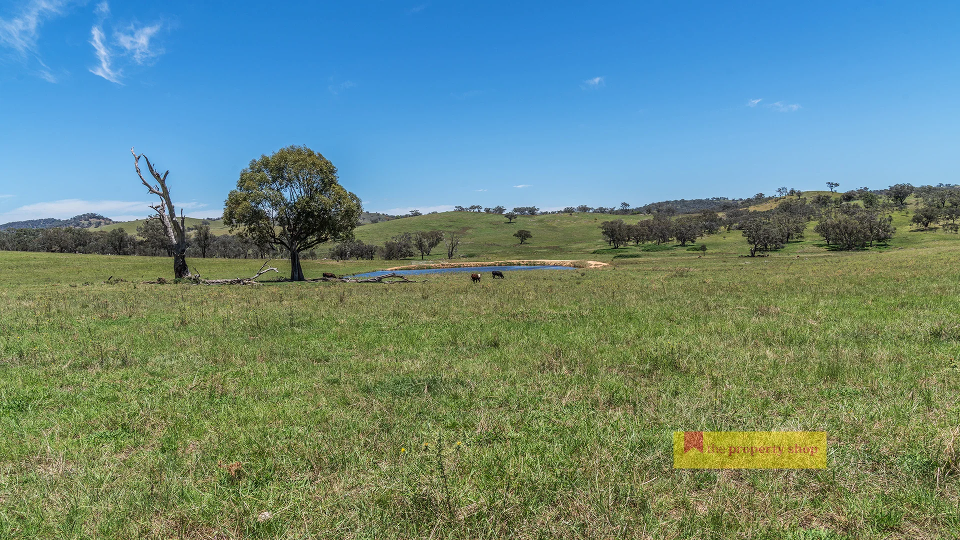Additional image 6 of 735 Kaludabah Road, Mudgee NSW 2850