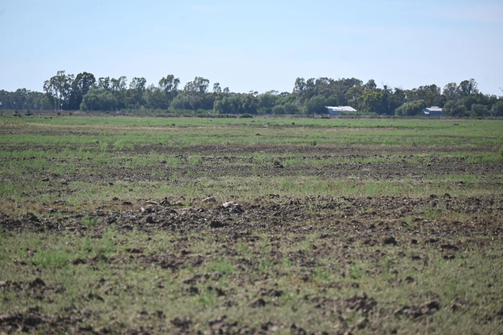 Additional image 42 of 594 Tragowel Road, Tragowel VIC 3579