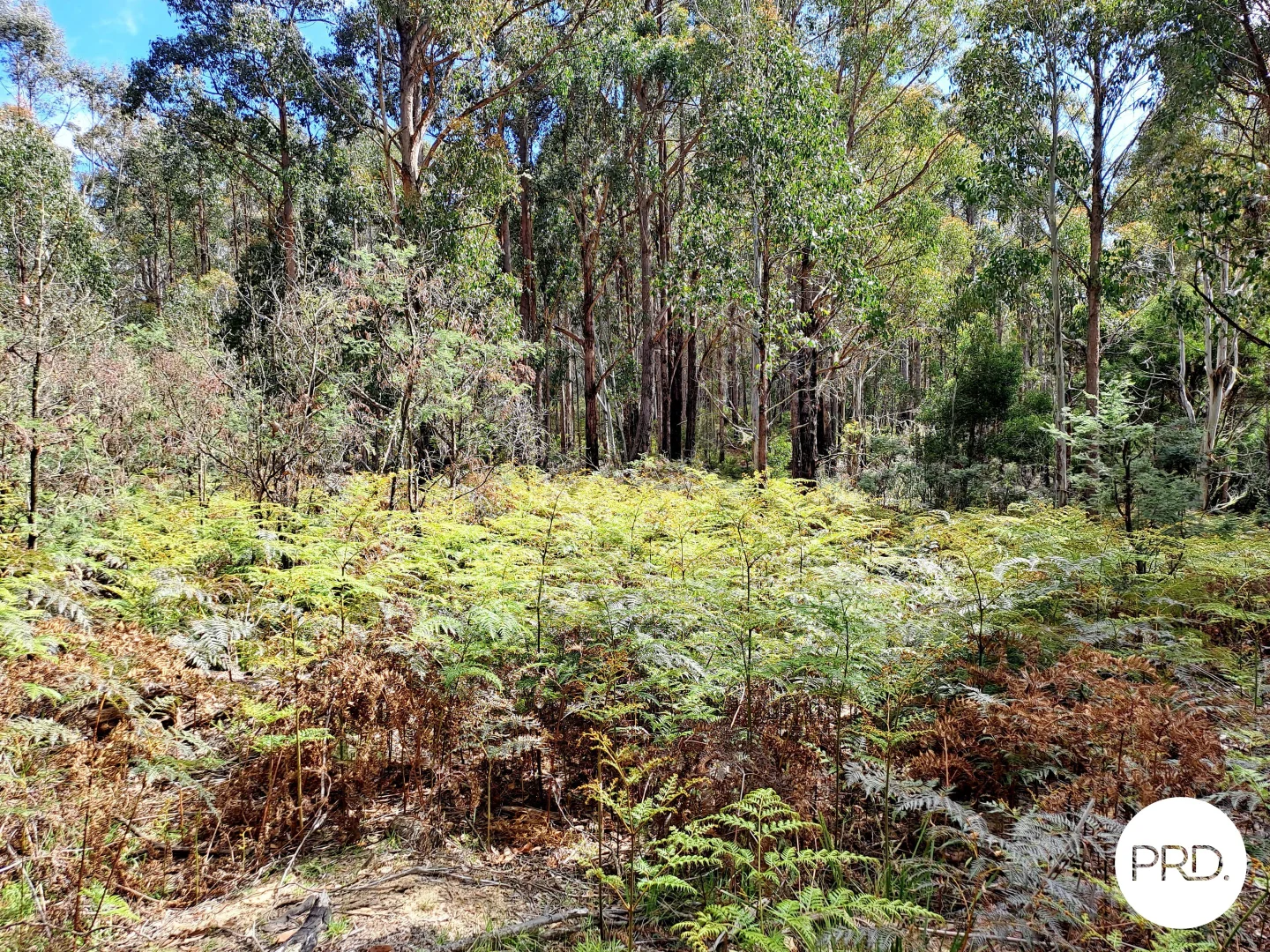 Additional image 14 of Lot 1 Ellendale Road, Ellendale TAS 7140