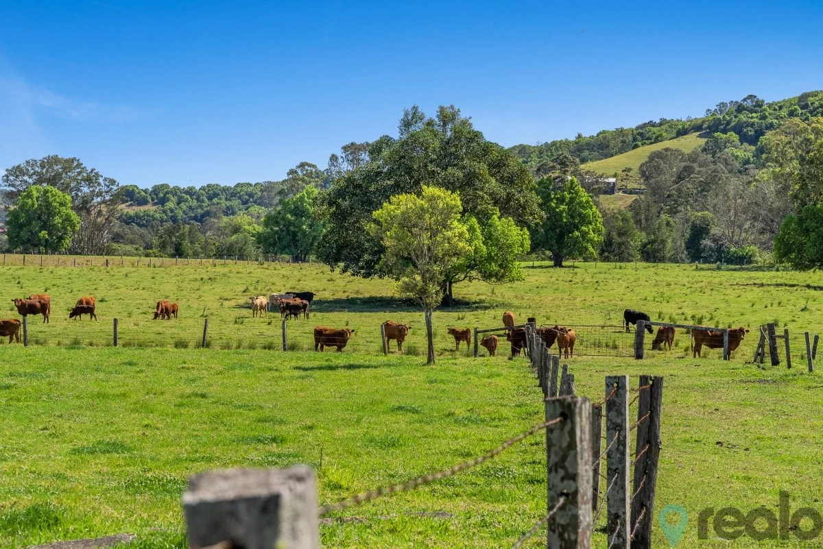 Additional image 15 of 20 Charlton Avenue, South Lismore NSW 2480